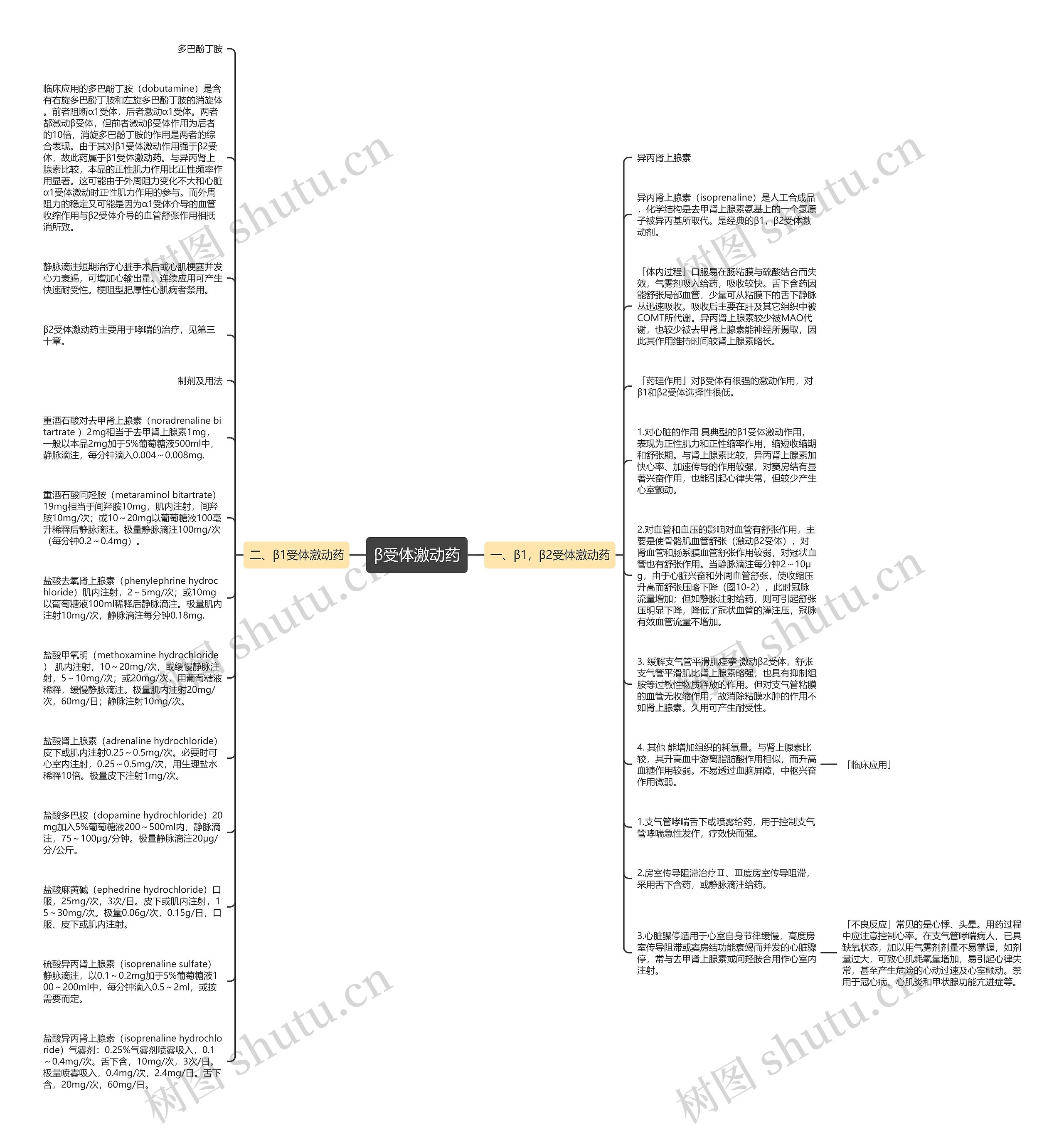 β受体激动药思维导图