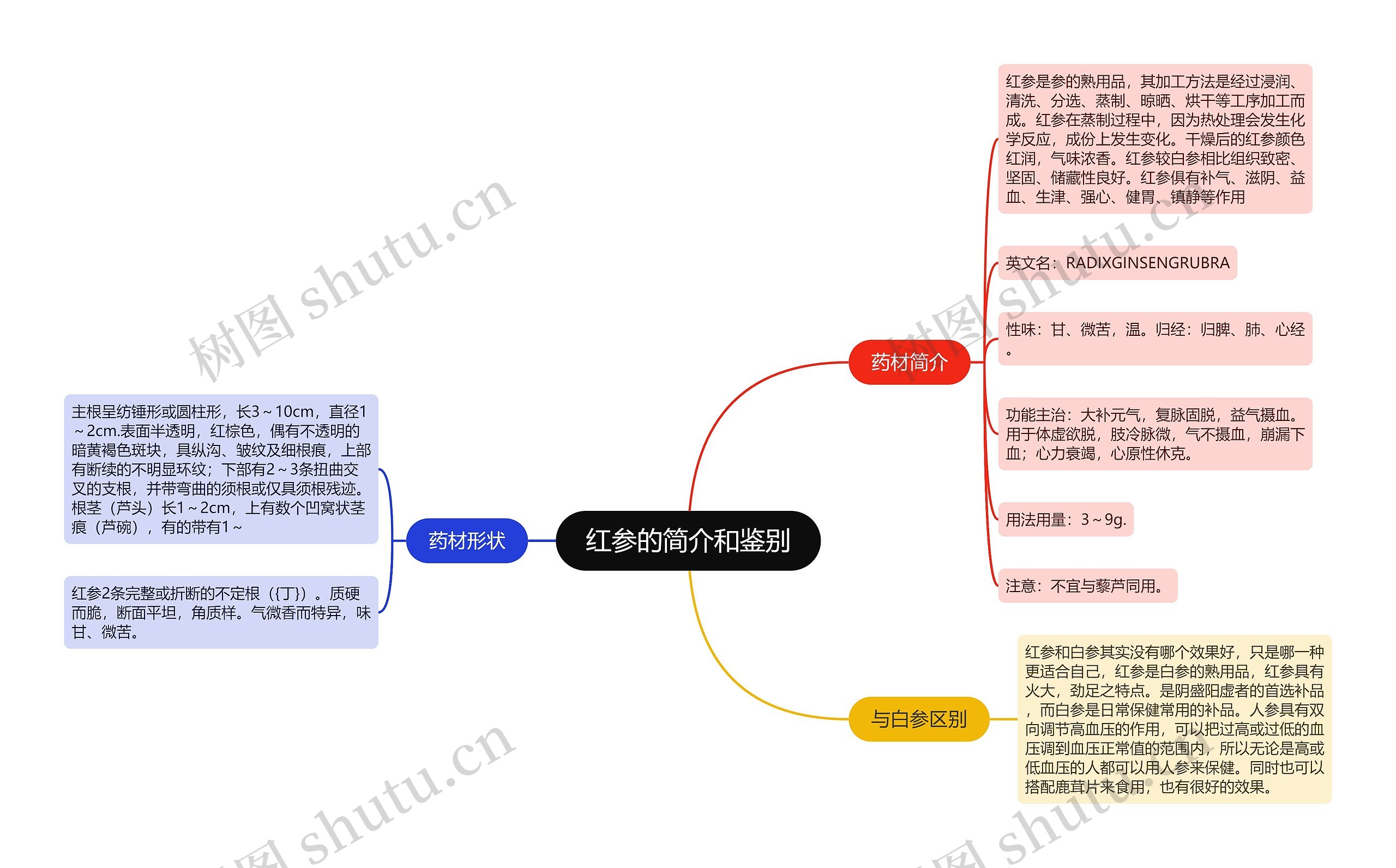 红参的简介和鉴别思维导图