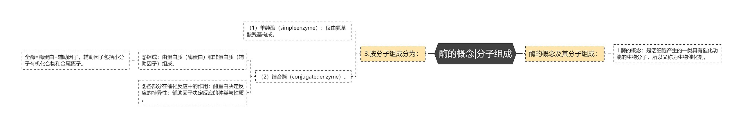 酶的概念|分子组成思维导图