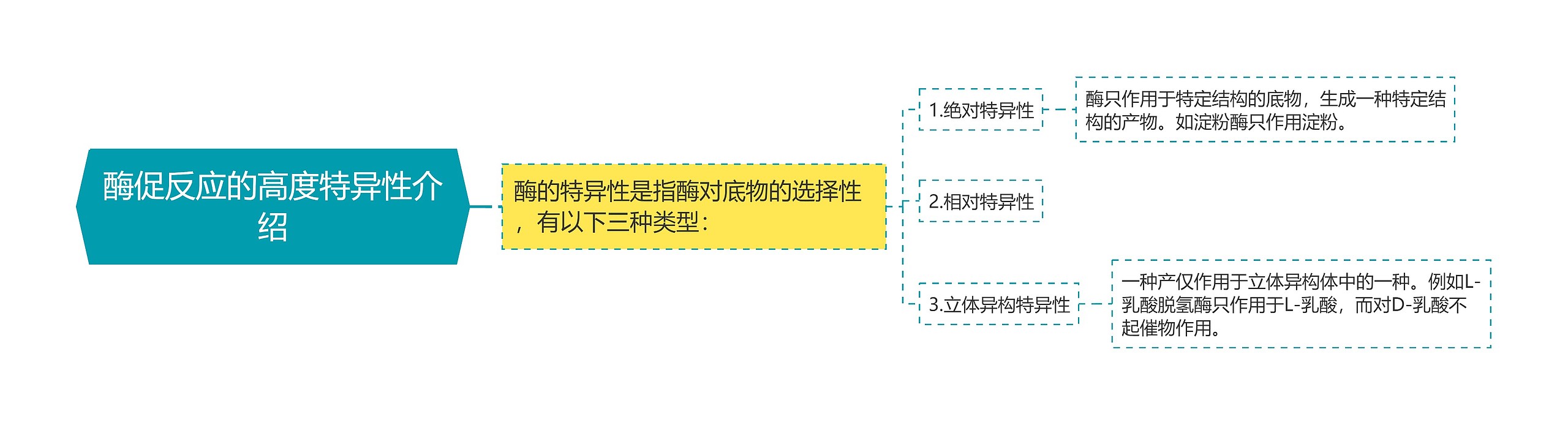 酶促反应的高度特异性介绍