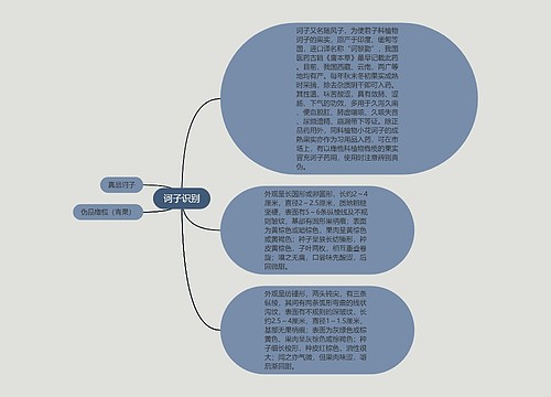 诃子识别