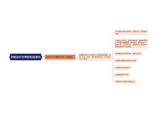 药物治疗方案的制定原则