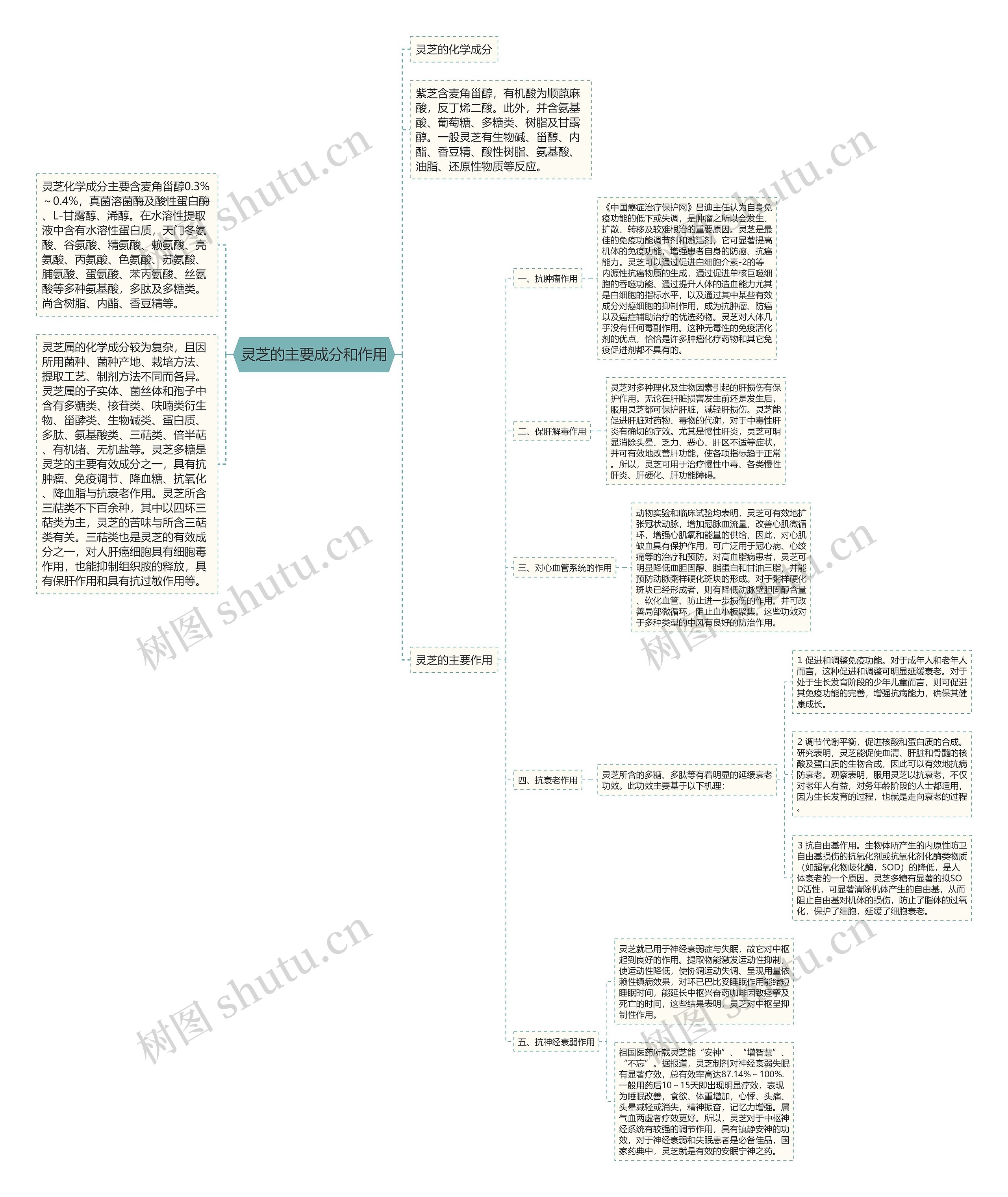 灵芝的主要成分和作用思维导图
