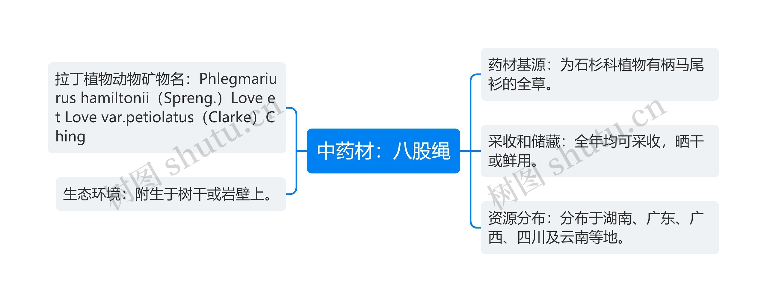 中药材：八股绳思维导图