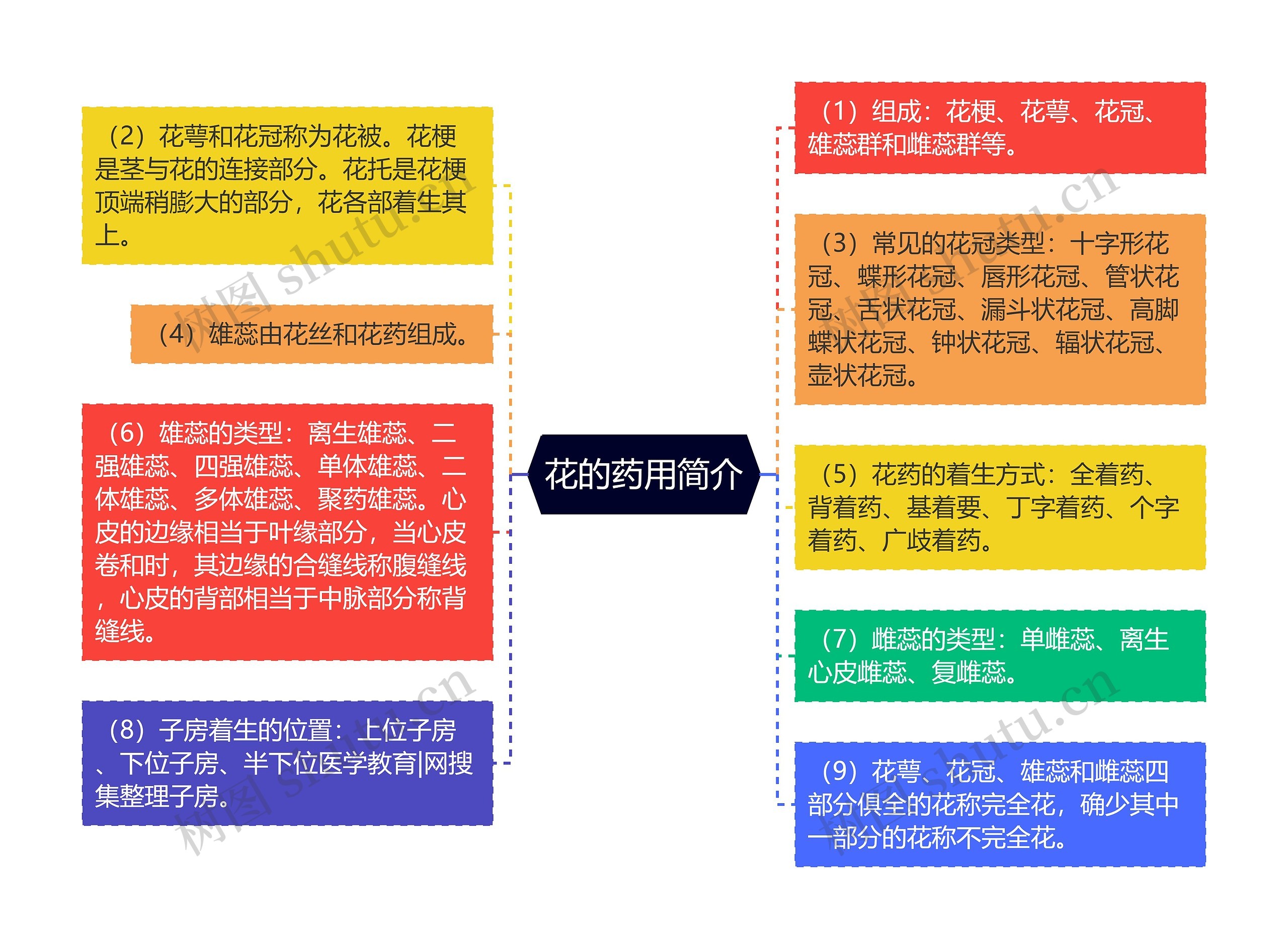 花的药用简介思维导图