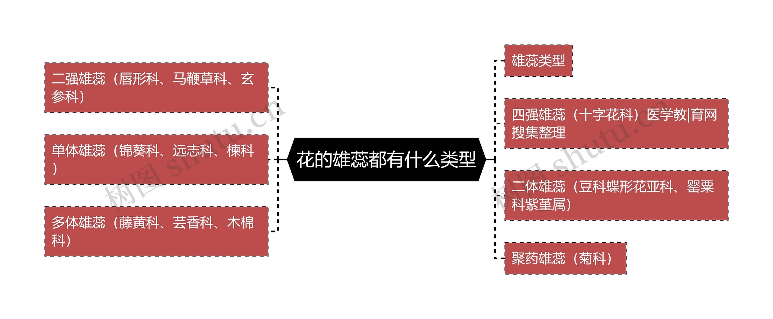 花的雄蕊都有什么类型思维导图