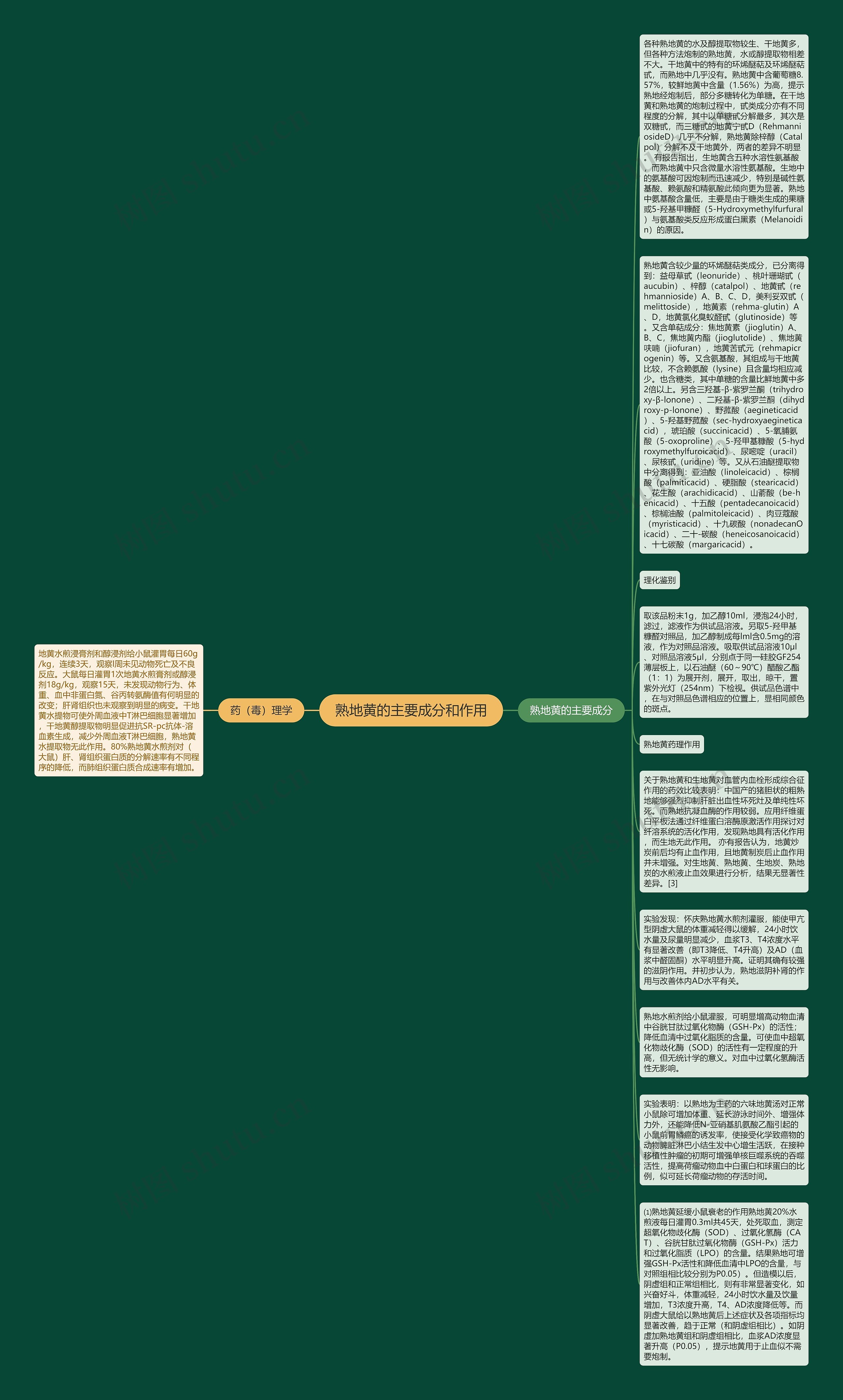 熟地黄的主要成分和作用思维导图