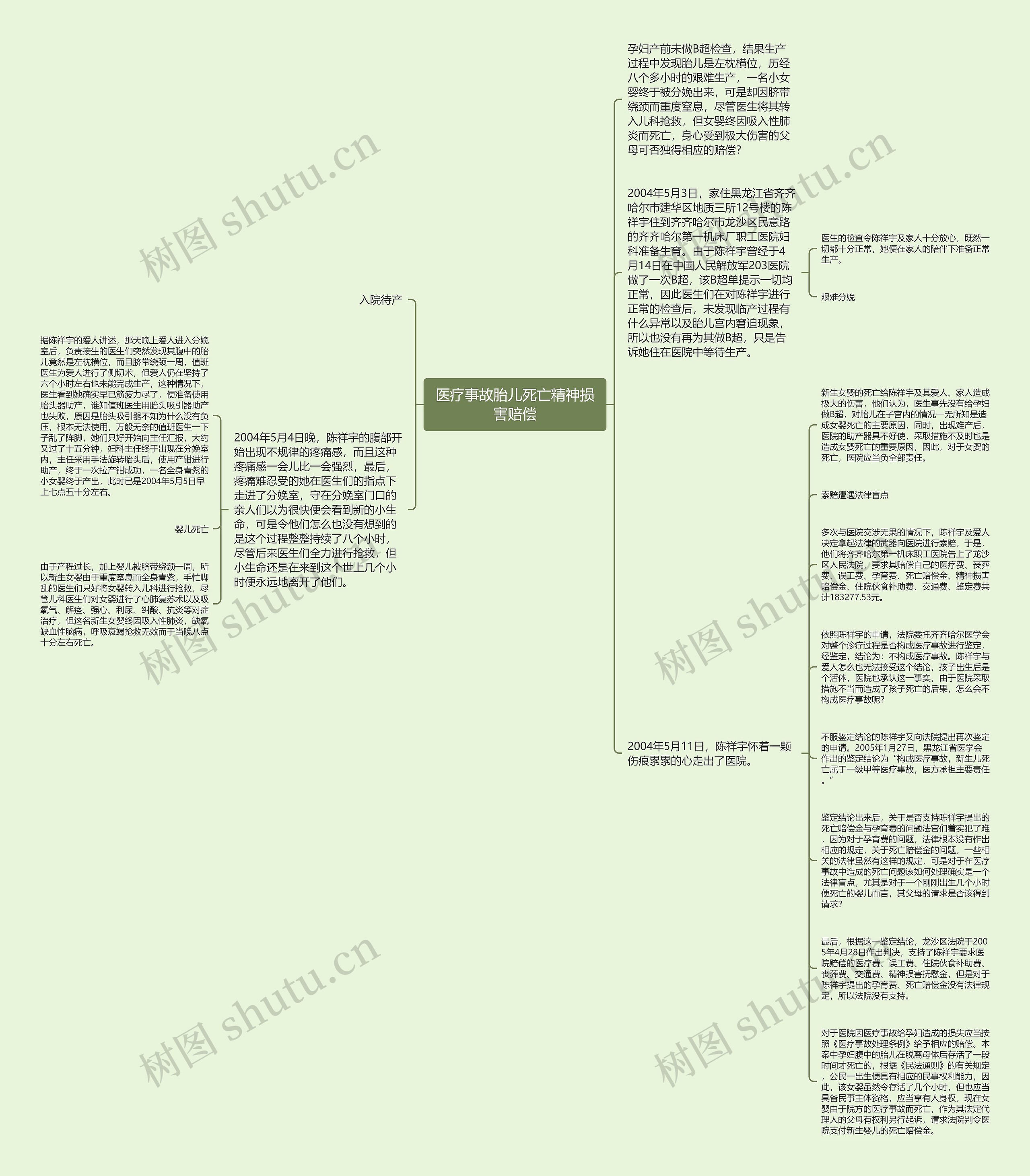 医疗事故胎儿死亡精神损害赔偿思维导图