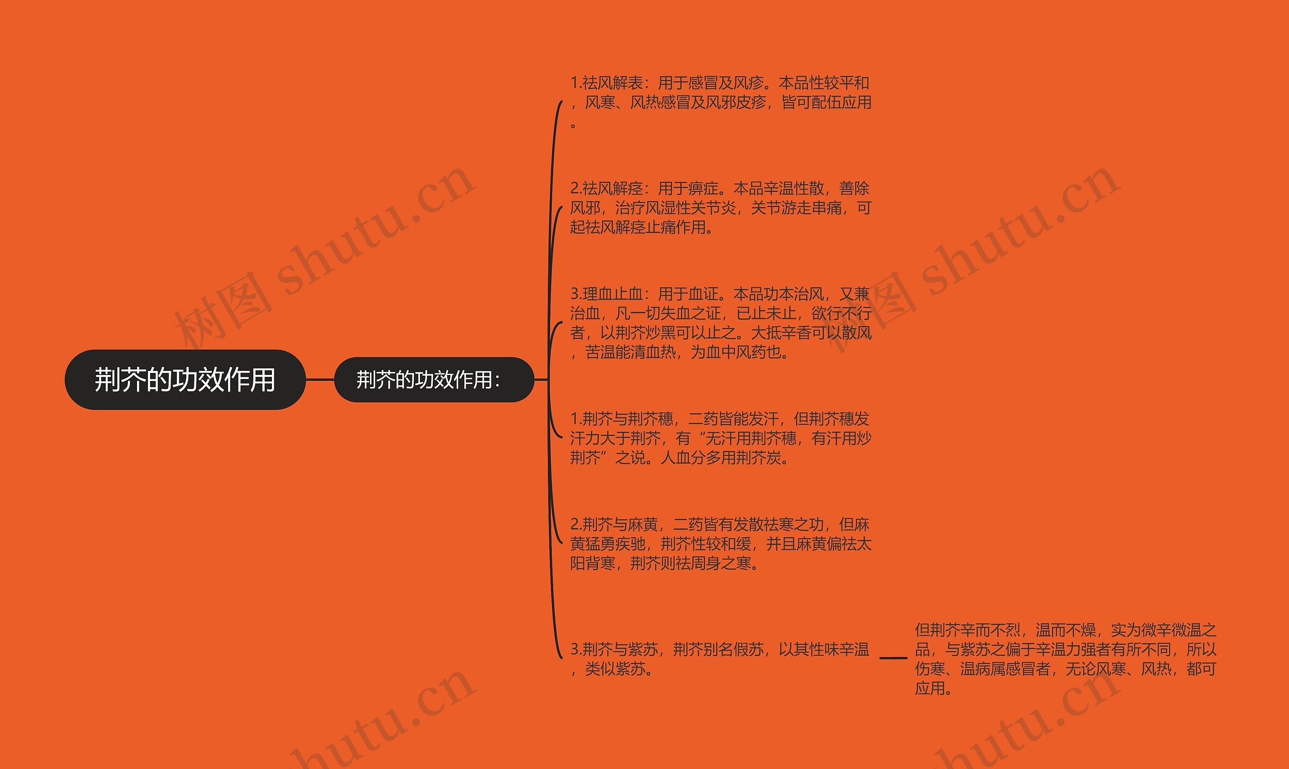 荆芥的功效作用思维导图