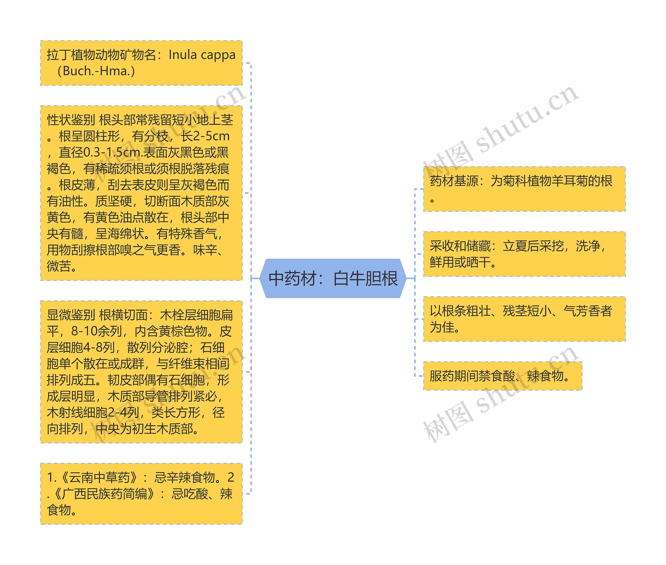 中药材：白牛胆根思维导图