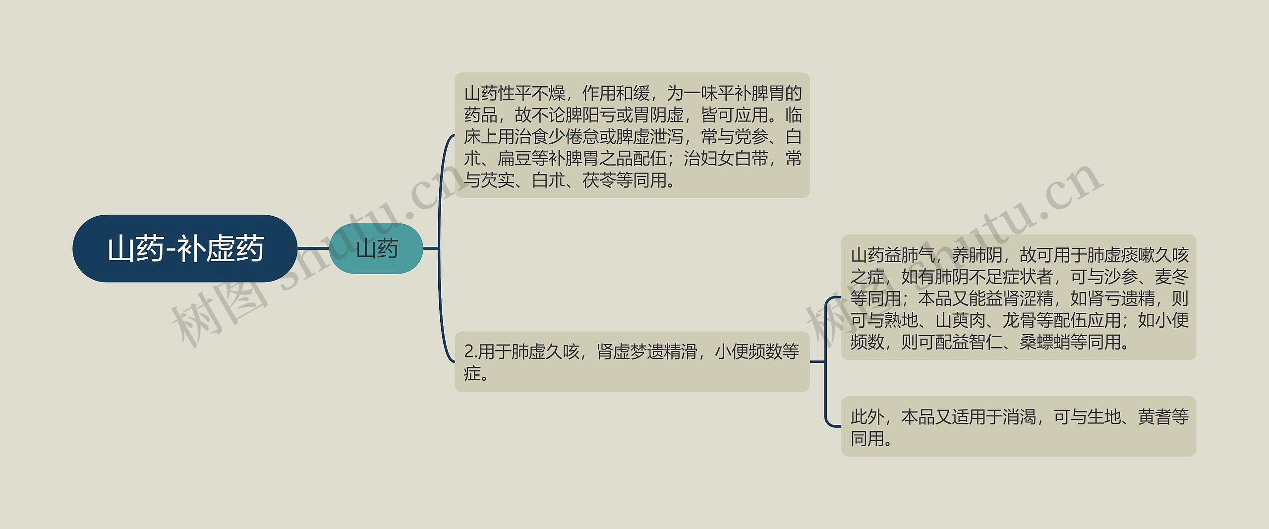 山药-补虚药思维导图