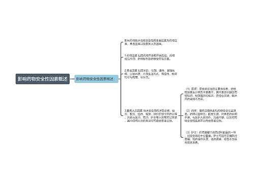 影响药物安全性因素概述