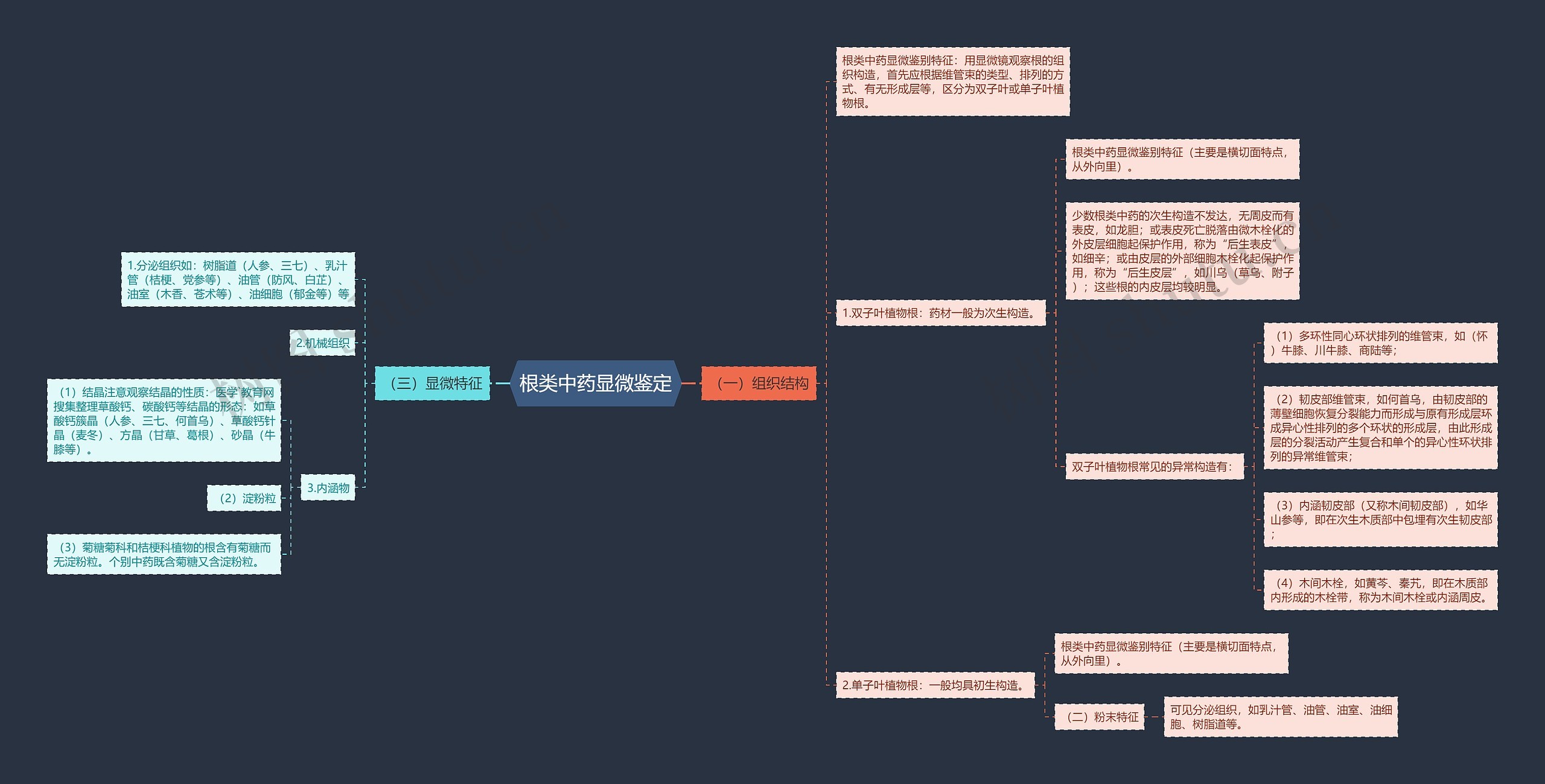根类中药显微鉴定 根类中药显微鉴定