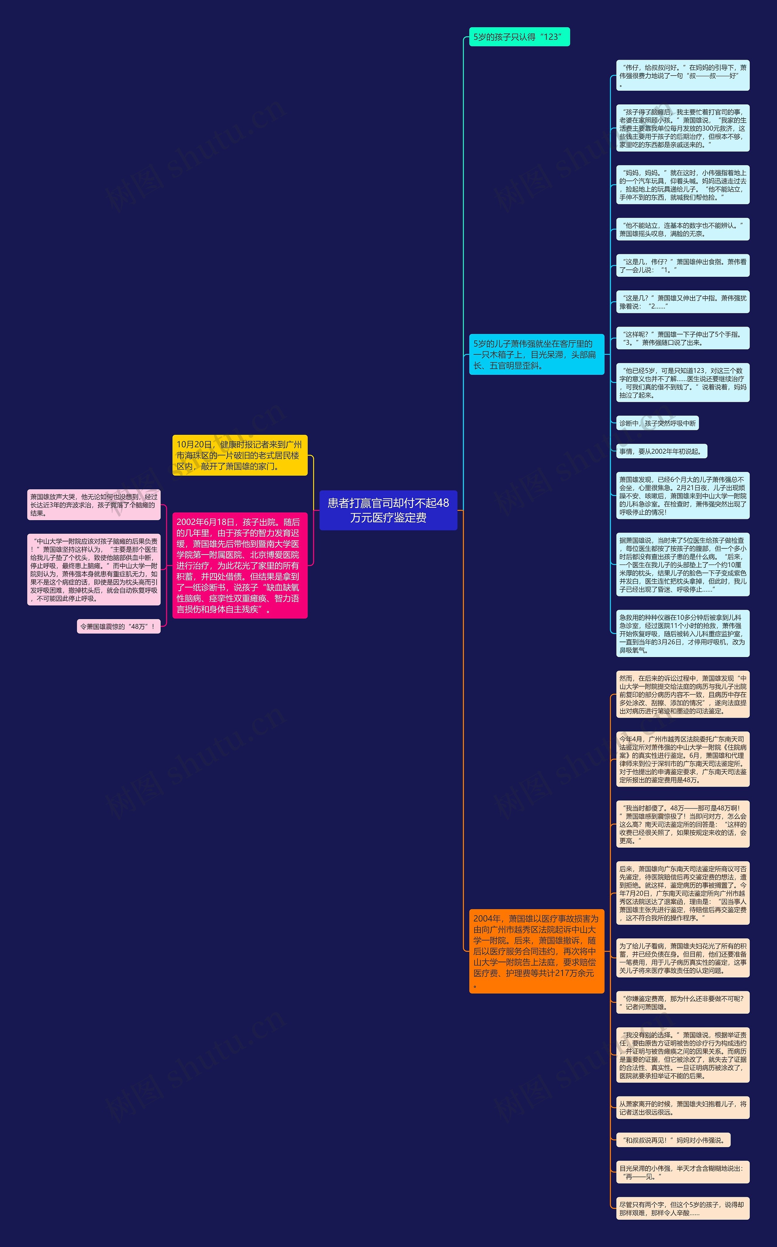 患者打赢官司却付不起48万元医疗鉴定费思维导图