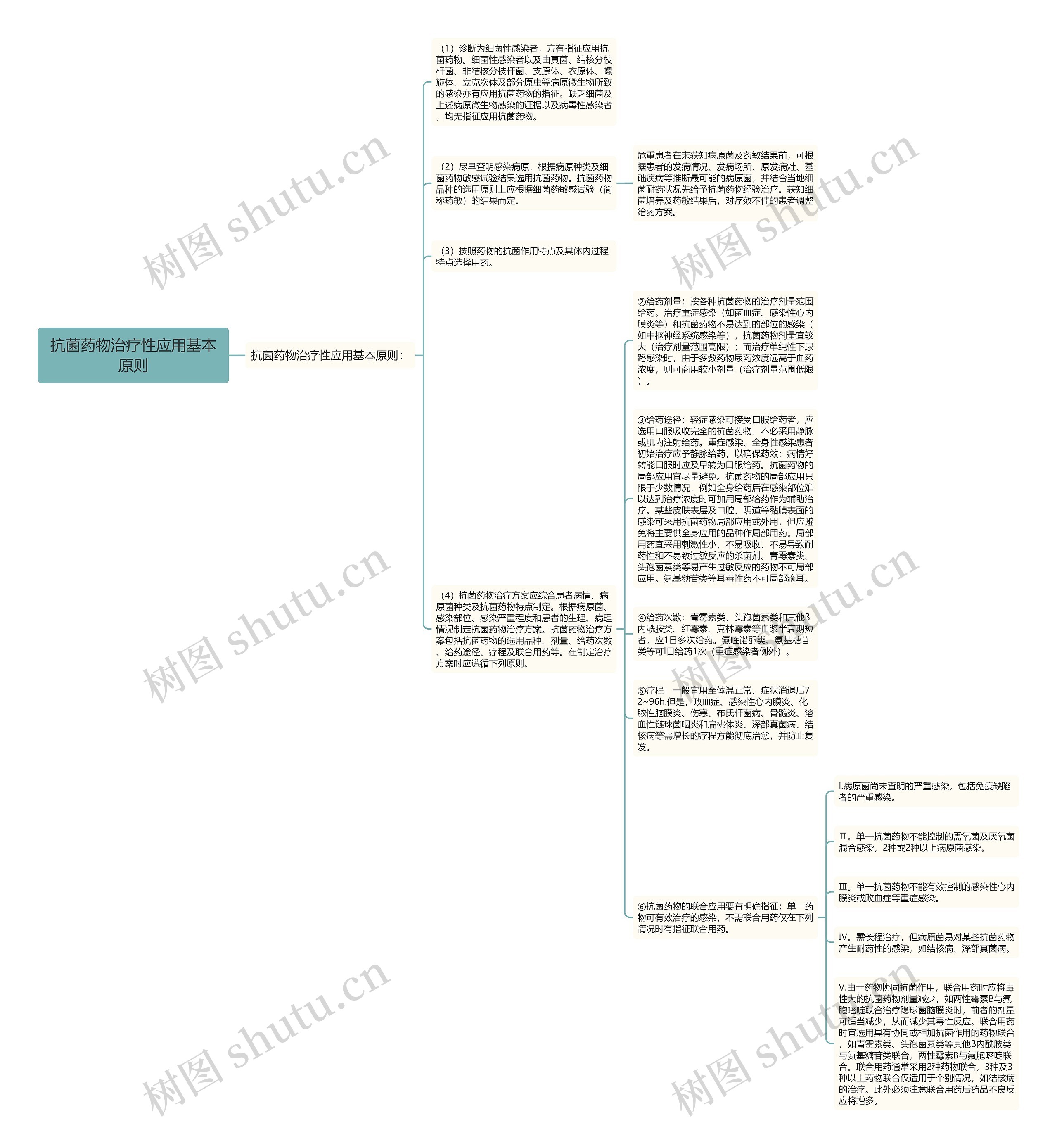 抗菌药物治疗性应用基本原则思维导图