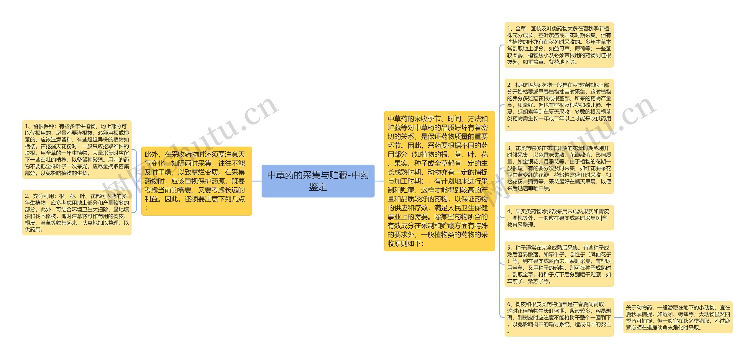 中草药的采集与贮藏-中药鉴定思维导图