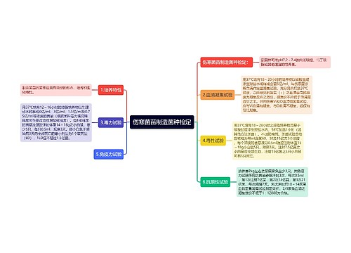 伤寒菌苗制造菌种检定