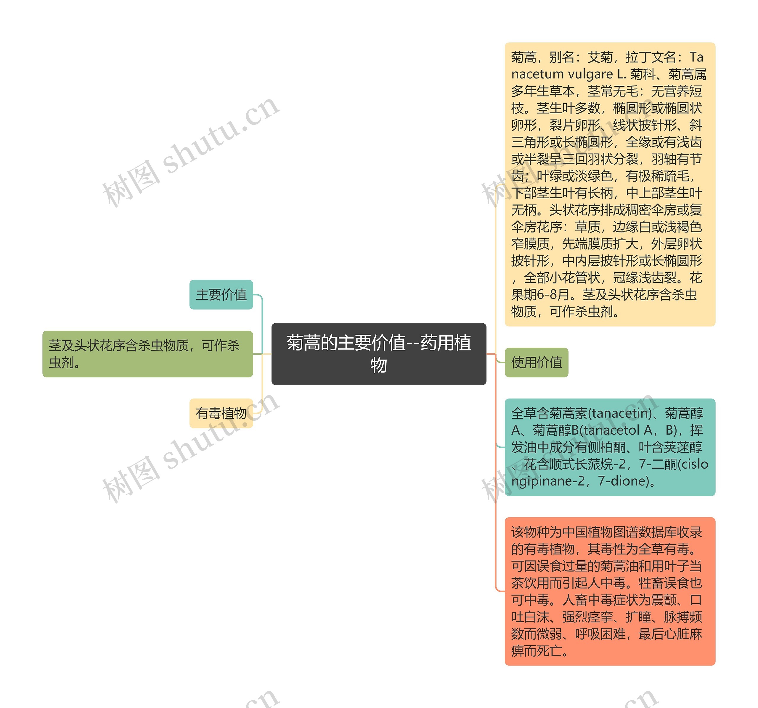 菊蒿的主要价值--药用植物思维导图