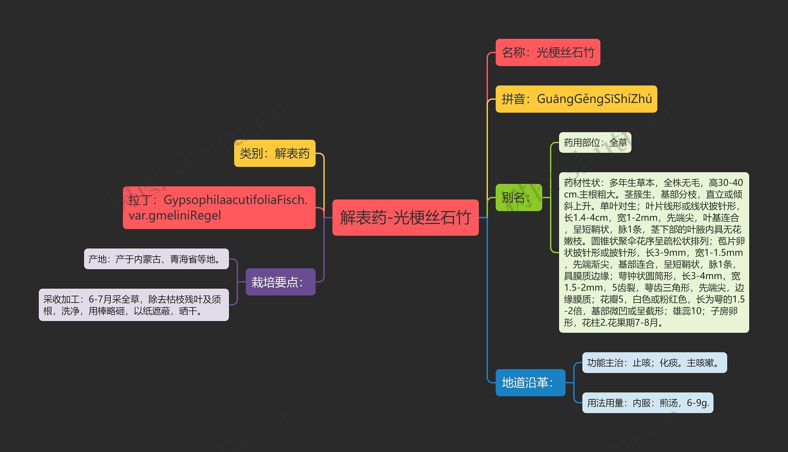 解表药-光梗丝石竹思维导图