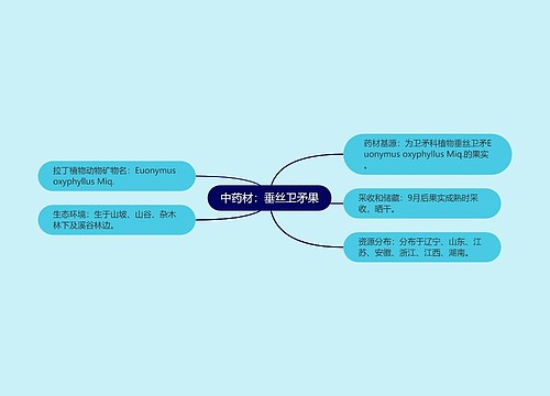 中药材：垂丝卫矛果