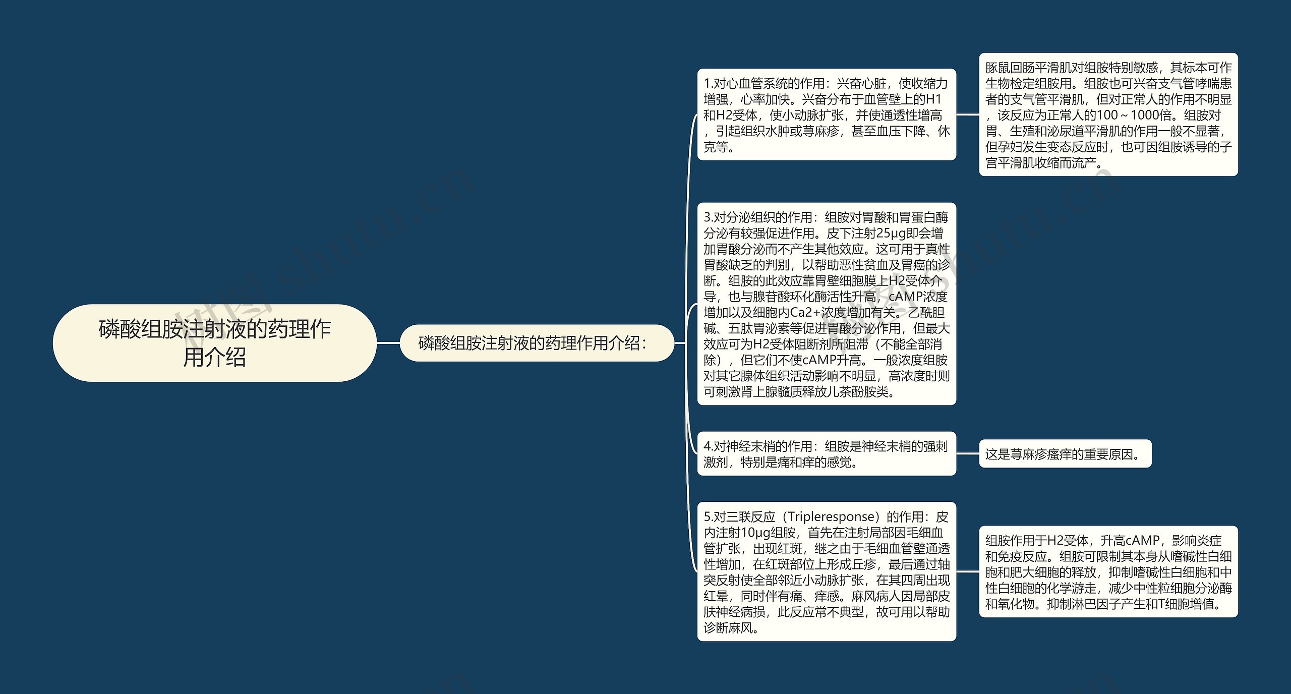 磷酸组胺注射液的药理作用介绍