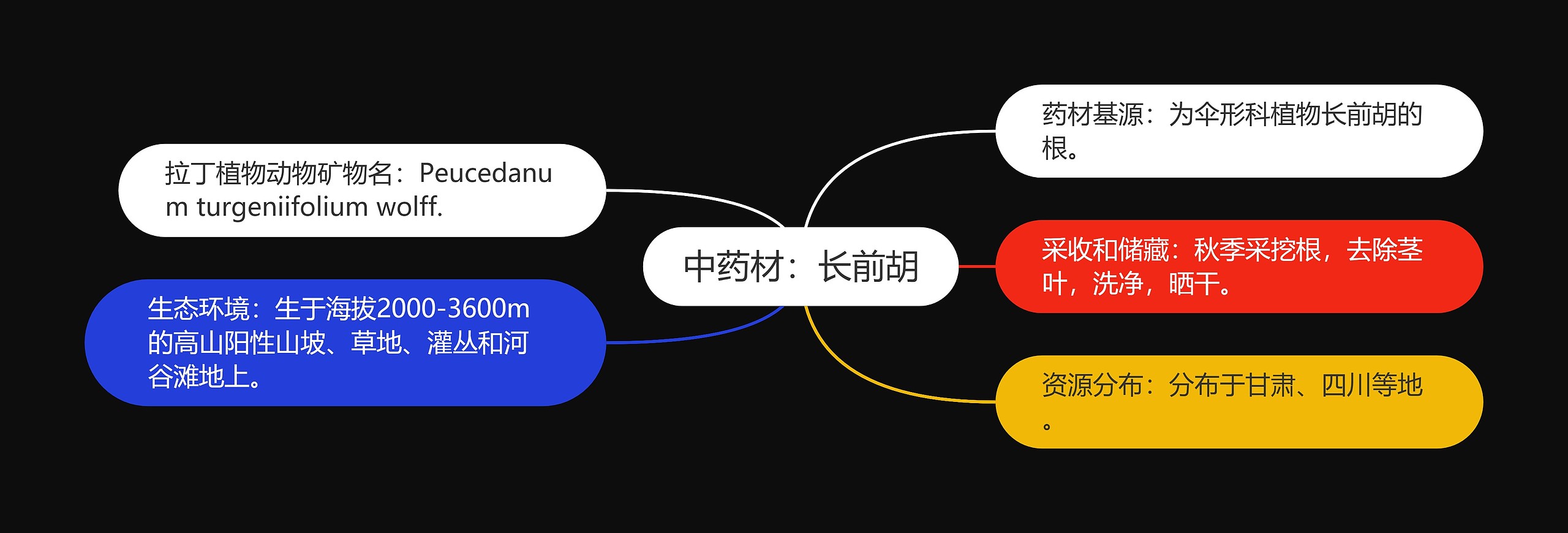 中药材：长前胡思维导图