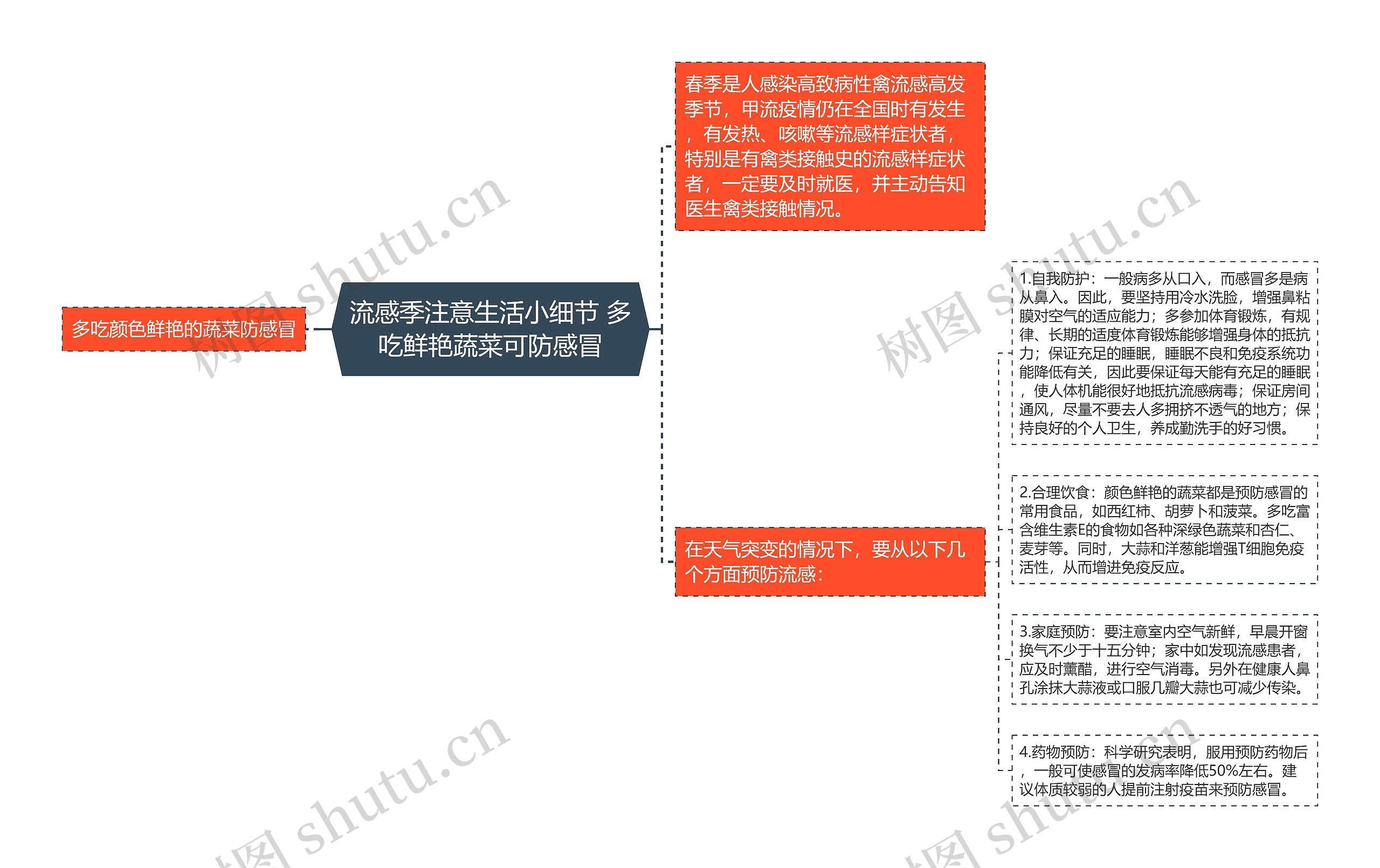 流感季注意生活小细节 多吃鲜艳蔬菜可防感冒思维导图