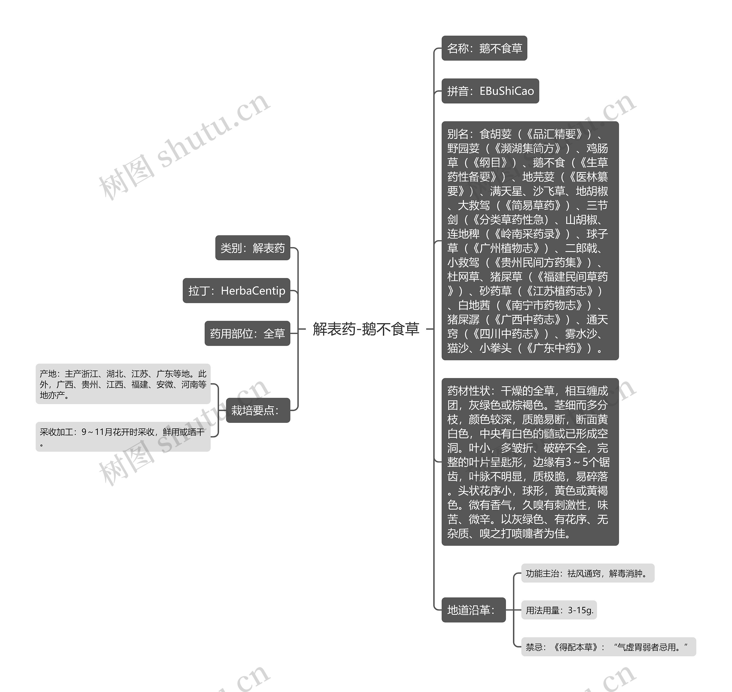 解表药-鹅不食草思维导图