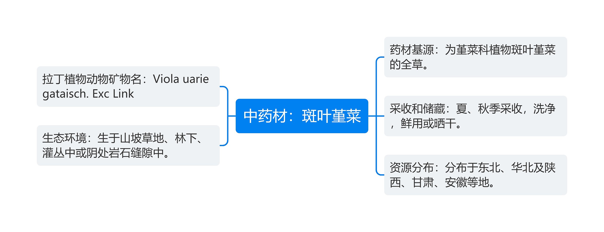 中药材：斑叶堇菜思维导图