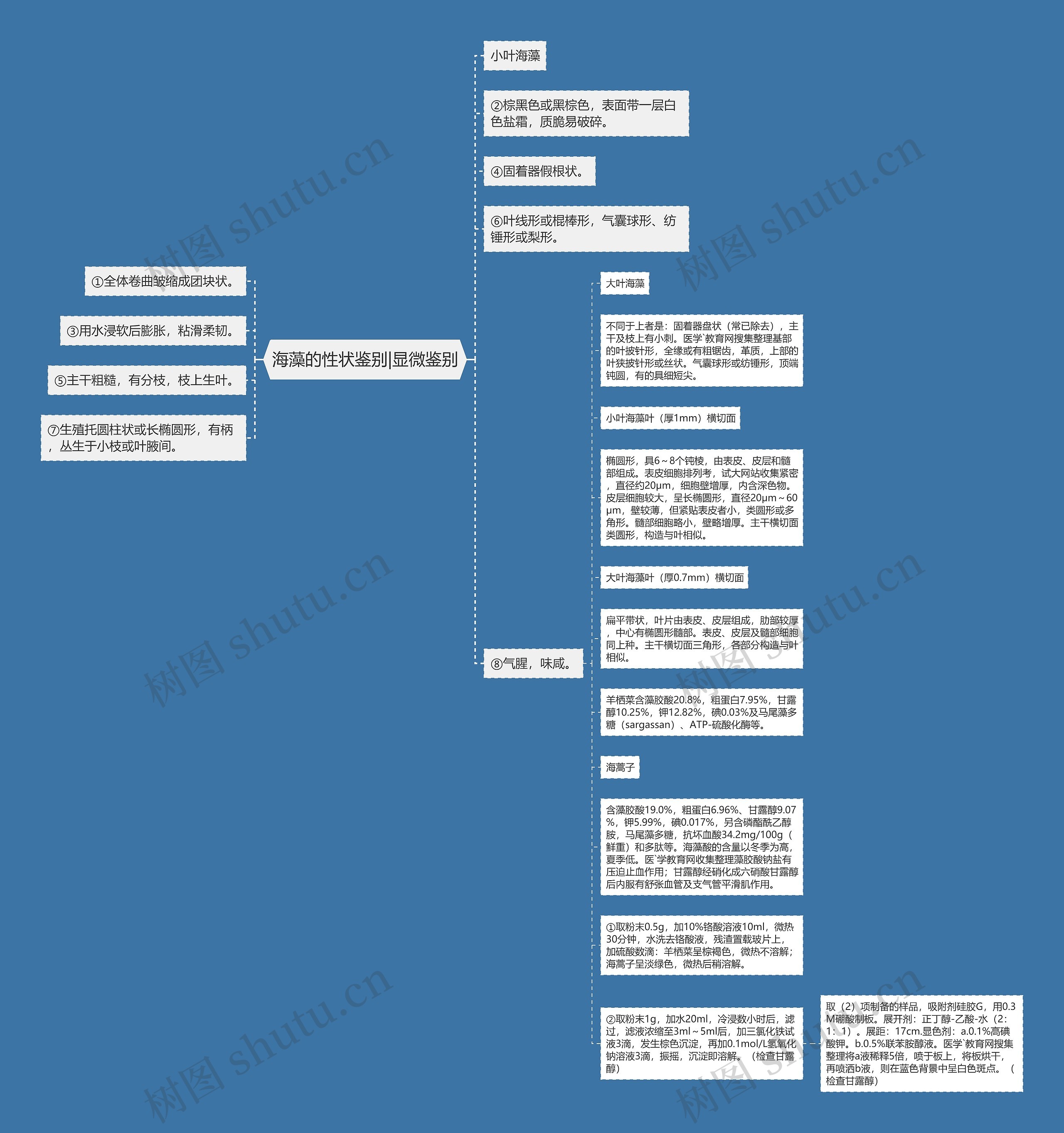 海藻的性状鉴别|显微鉴别思维导图