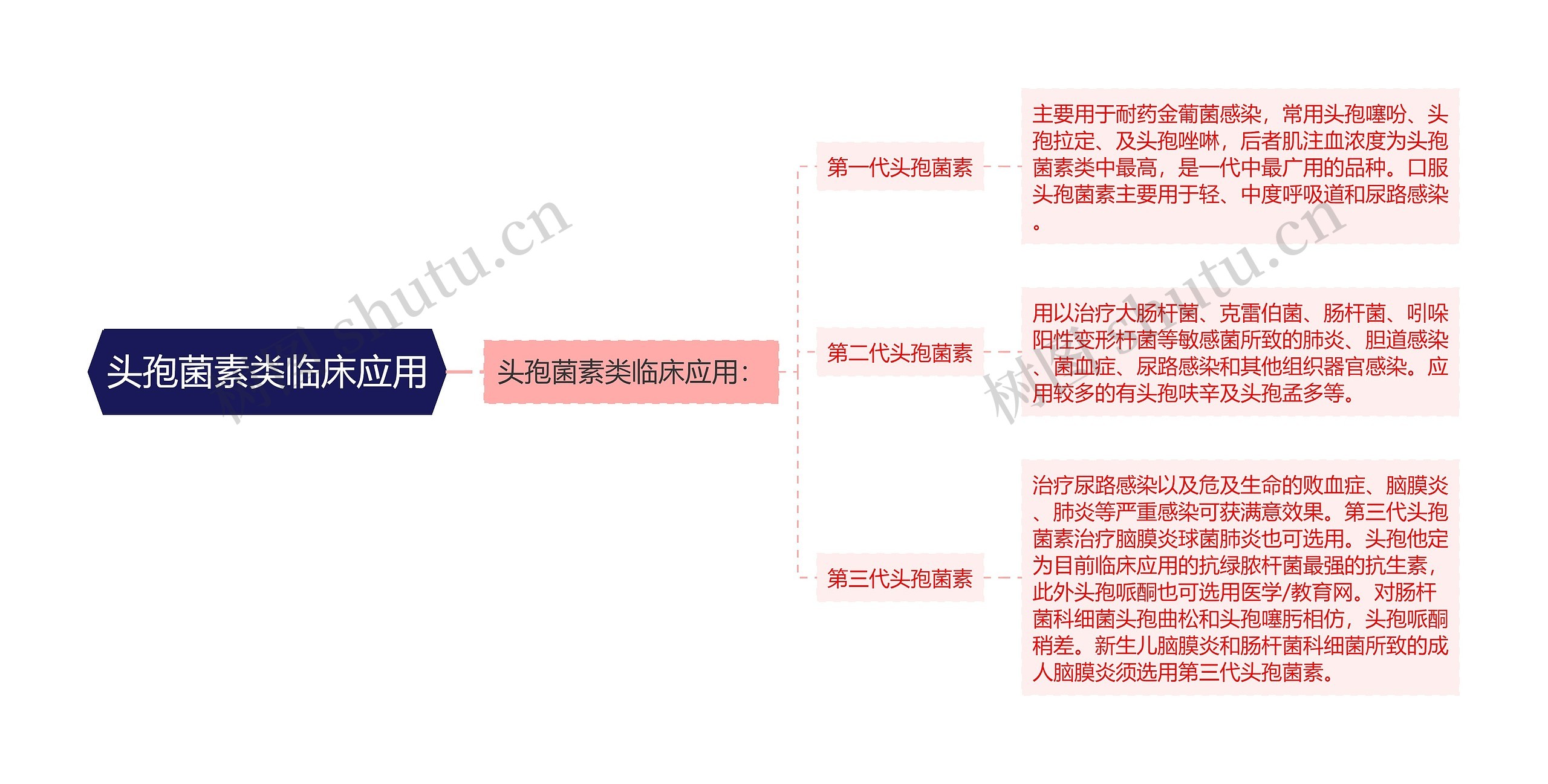 头孢菌素类临床应用