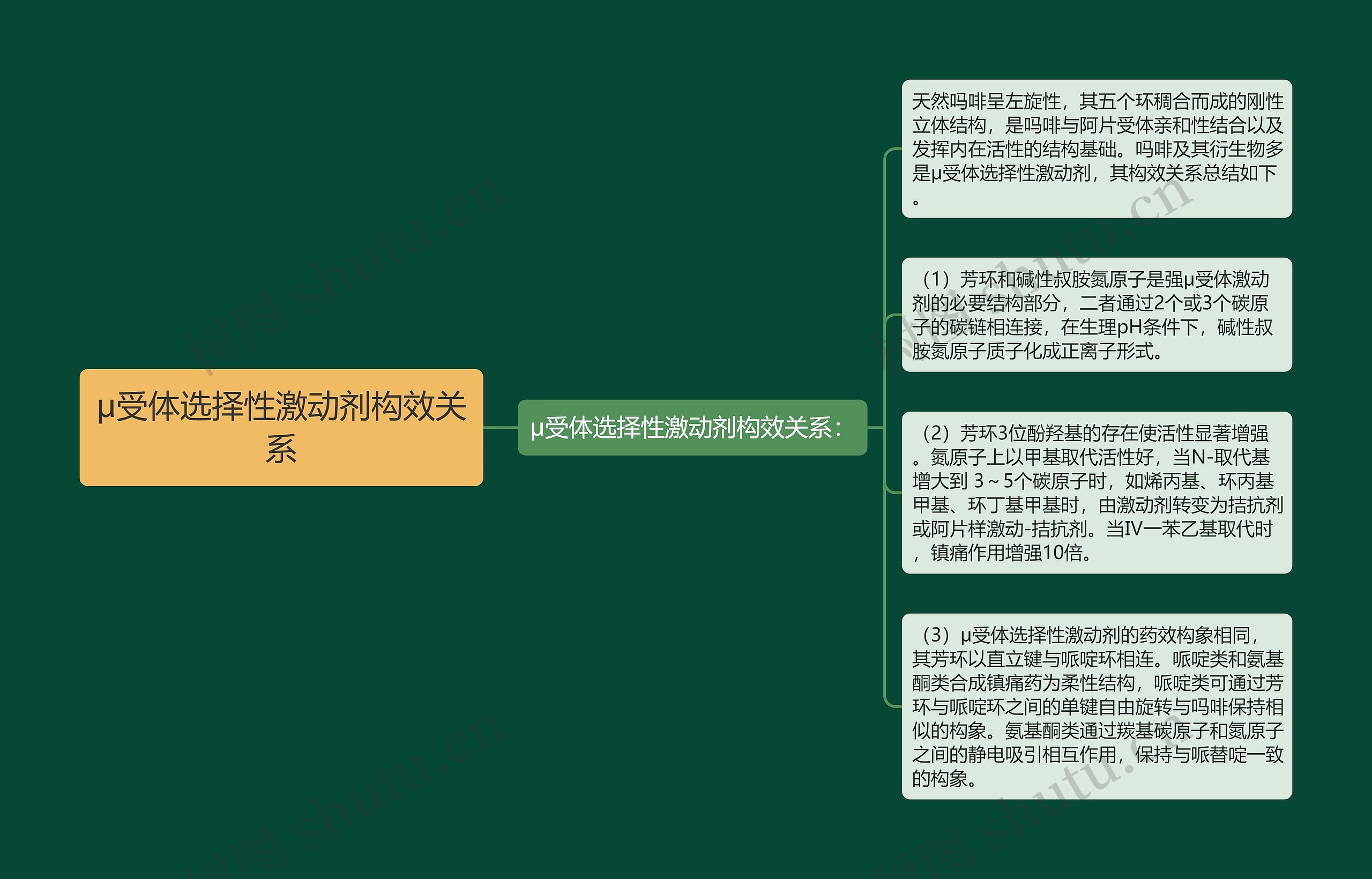 μ受体选择性激动剂构效关系思维导图