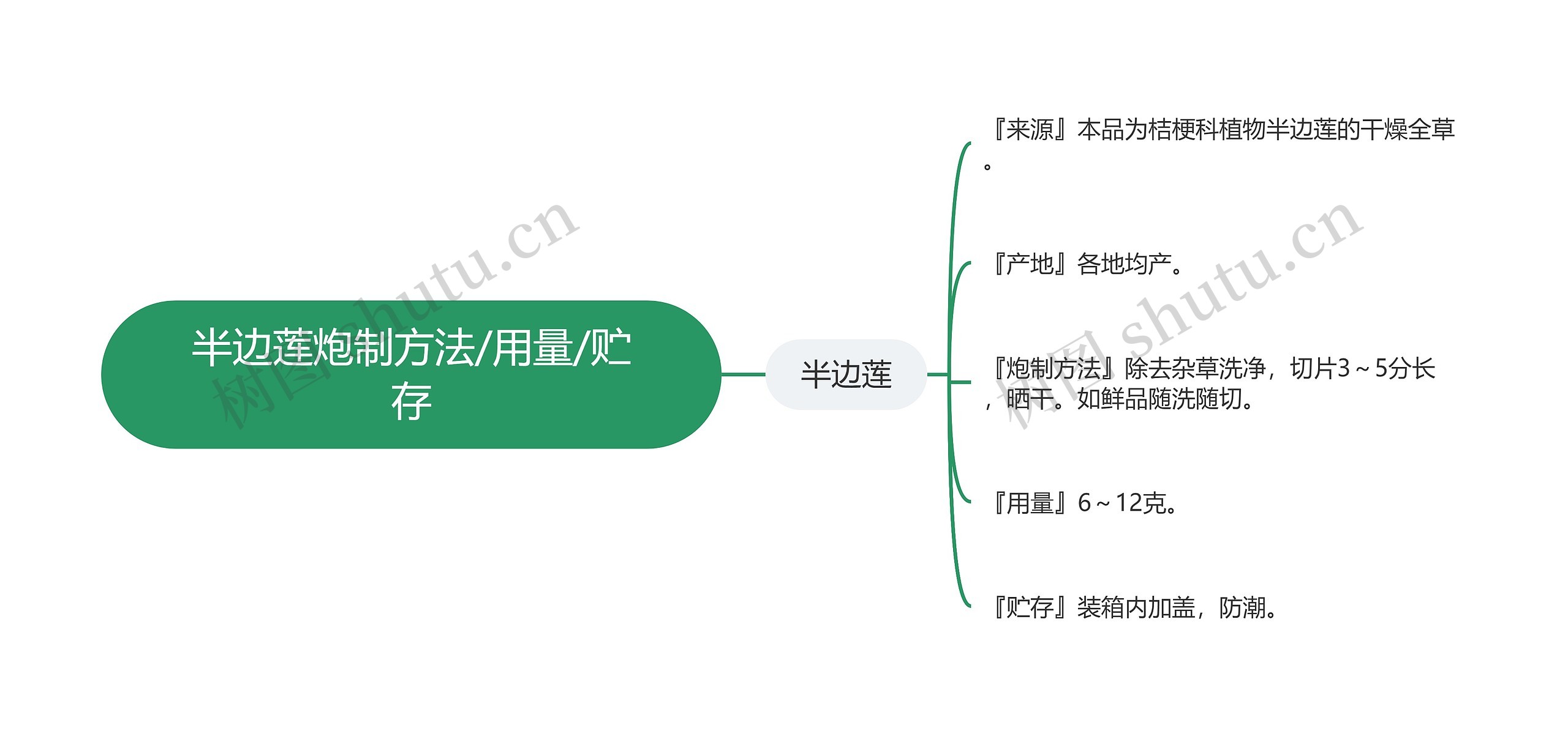 半边莲炮制方法/用量/贮存思维导图