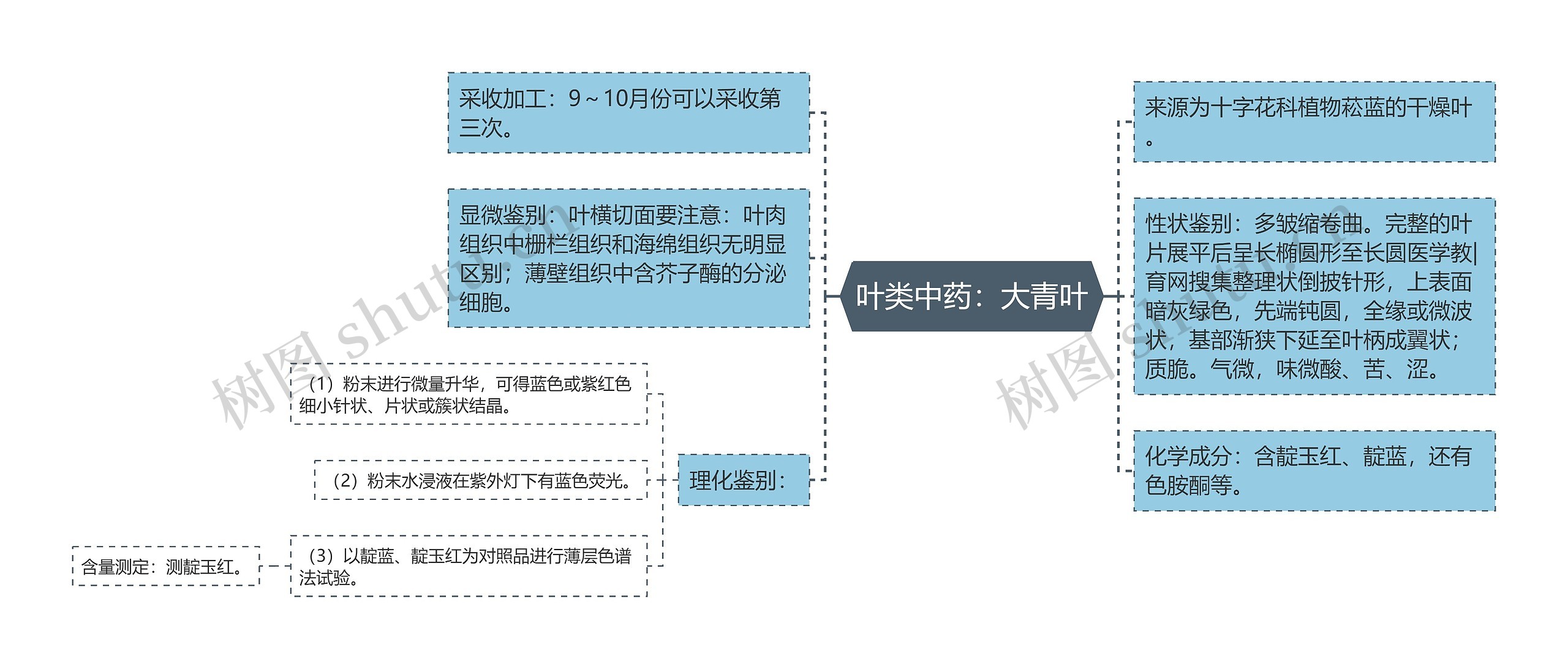 叶类中药：大青叶思维导图