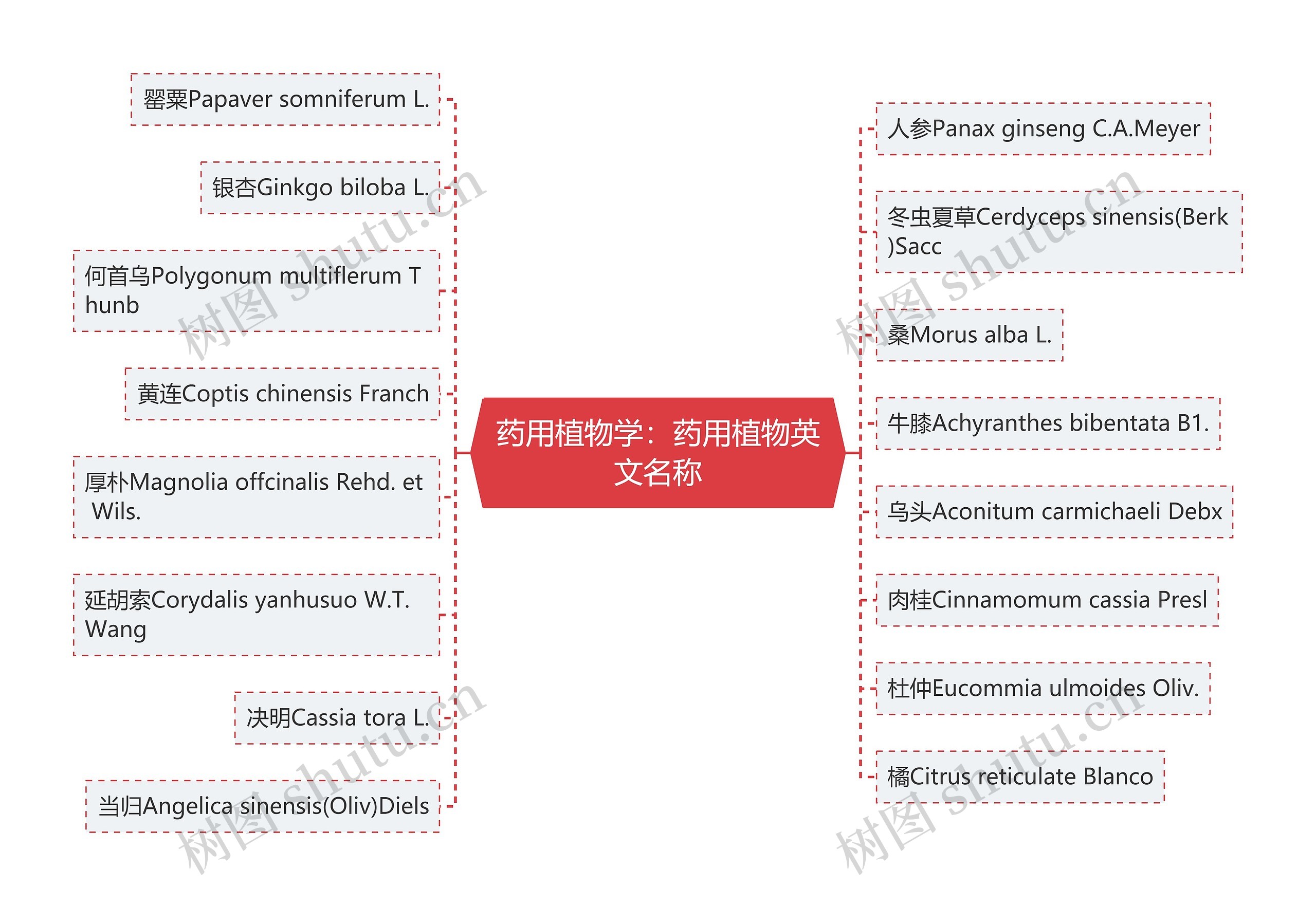 药用植物学:药用植物英文名称 药用植物学:药用植物英文名称