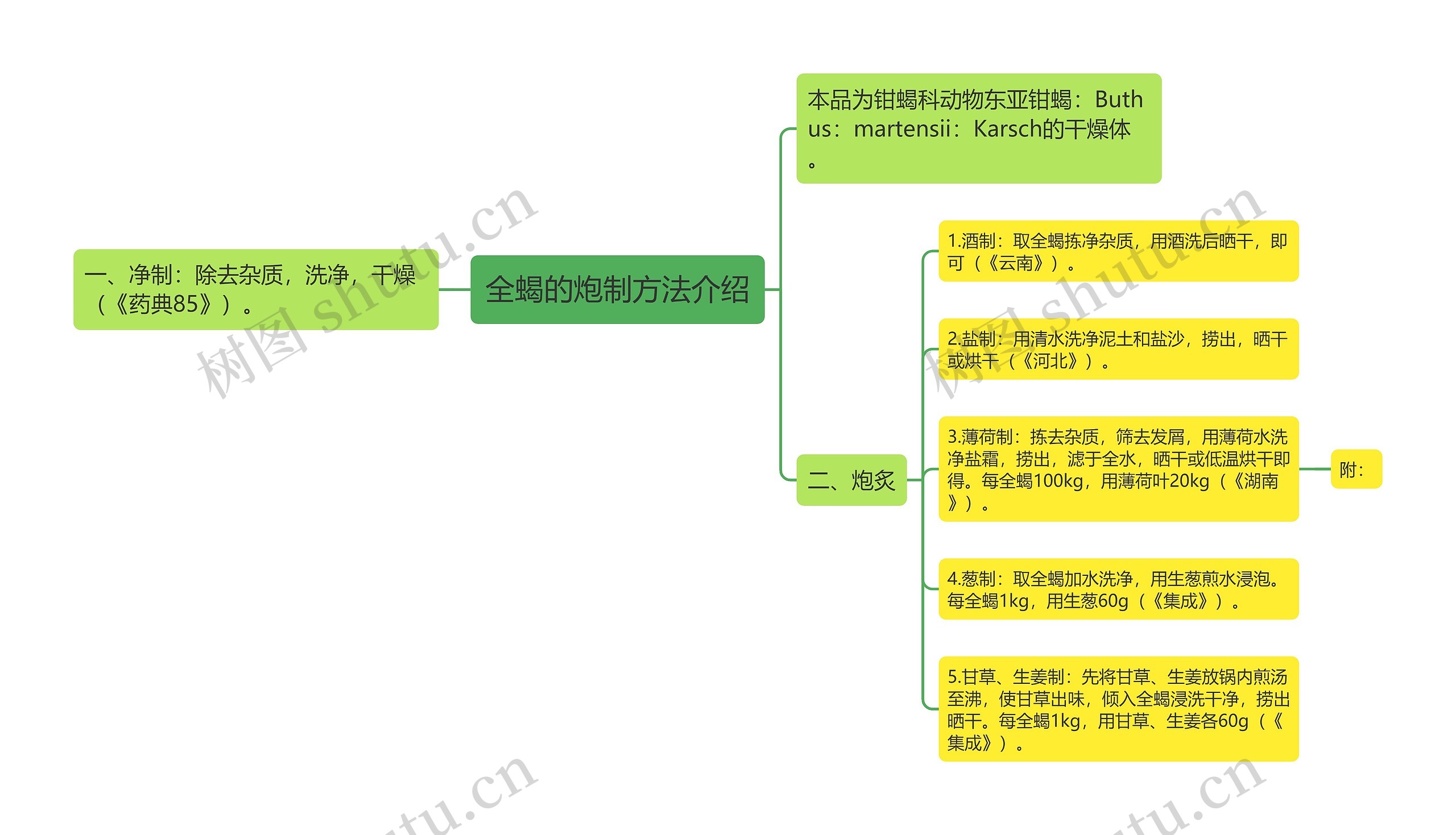 全蝎的炮制方法介绍思维导图