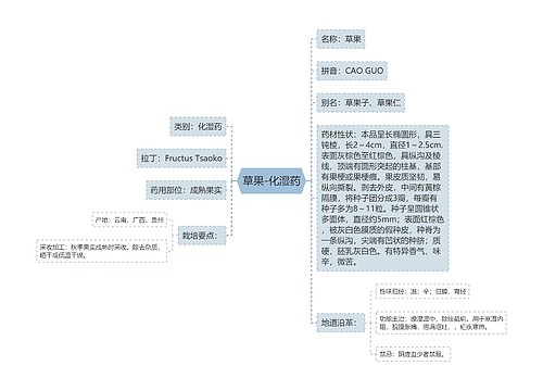 草果-化湿药