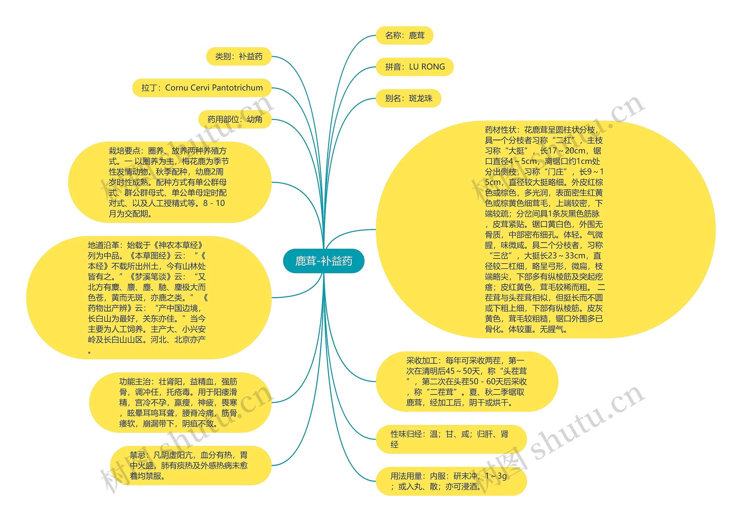 鹿茸-补益药思维导图