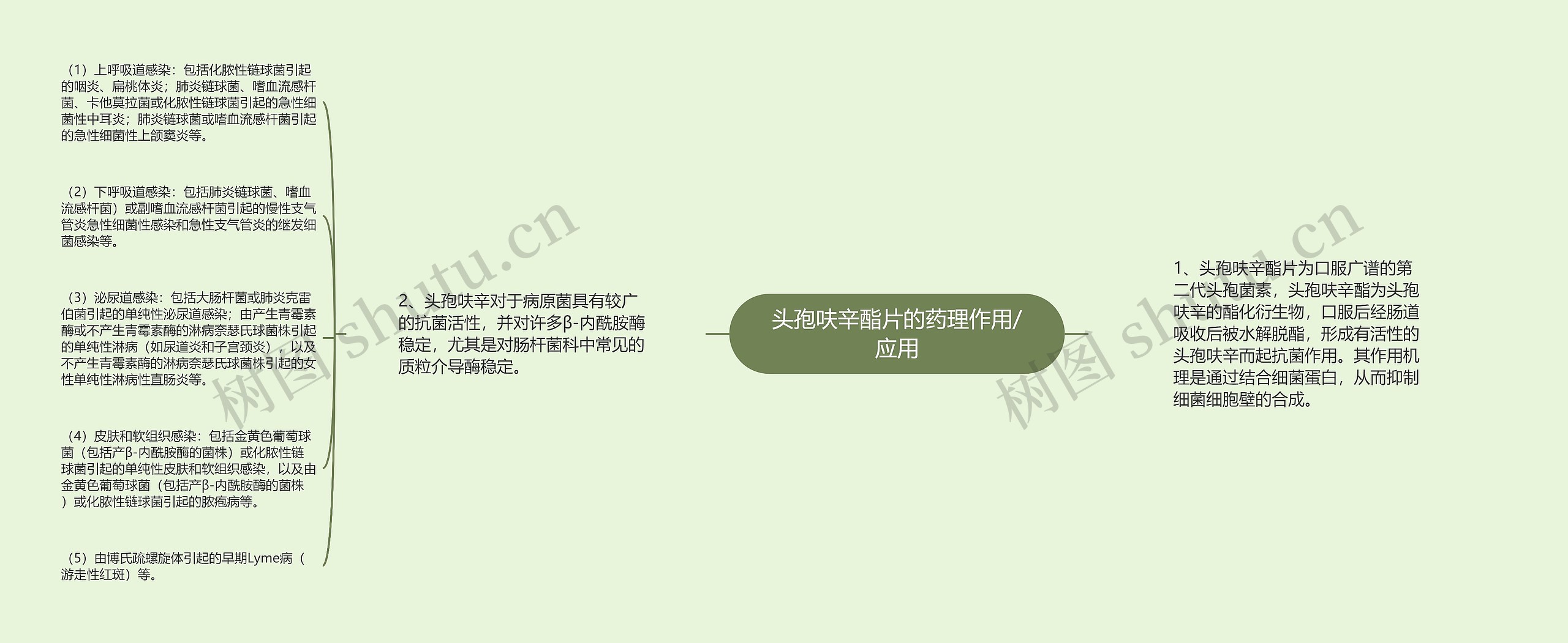 头孢呋辛酯片的药理作用/应用 头孢呋辛酯片的药理作用/应用