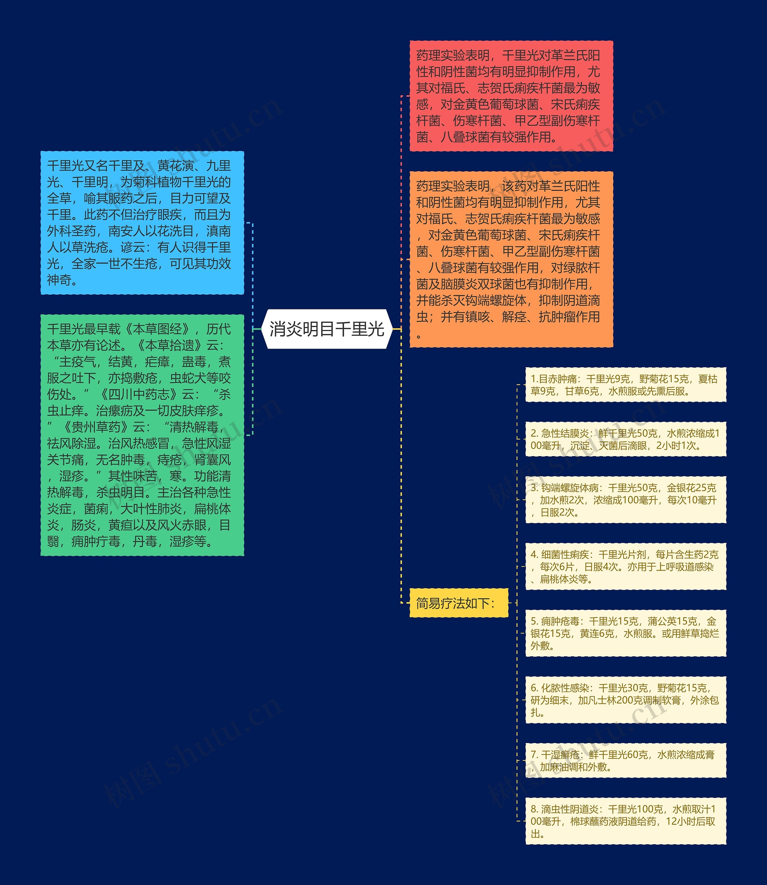 消炎明目千里光思维导图