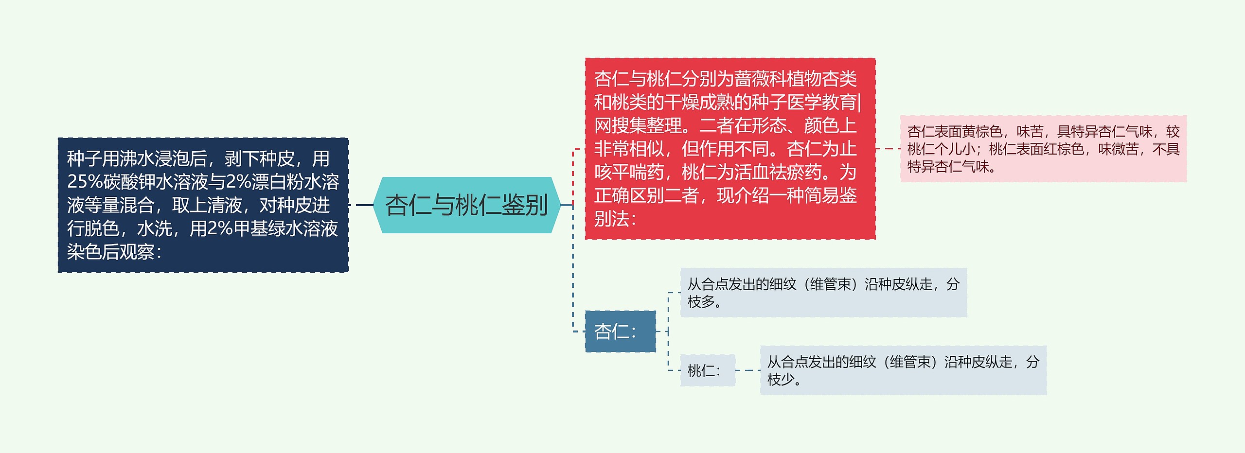 杏仁与桃仁鉴别思维导图