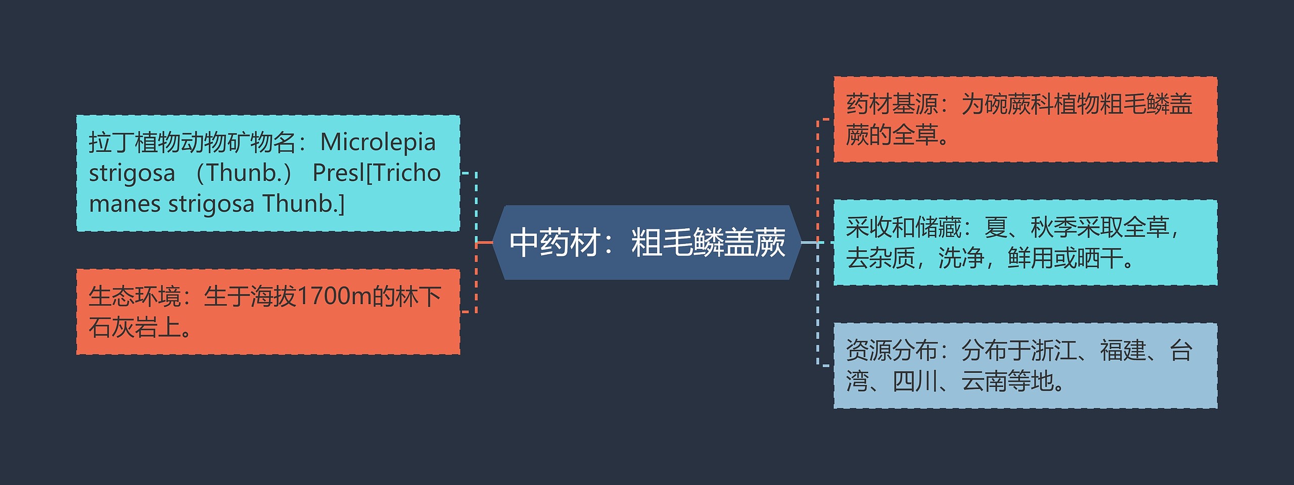 中药材：粗毛鳞盖蕨思维导图