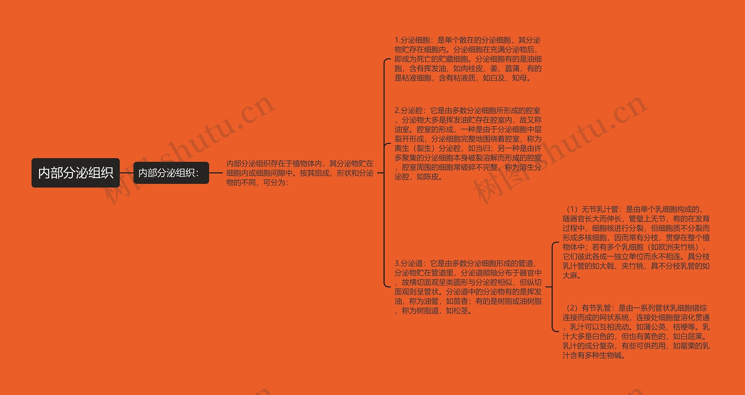 内部分泌组织思维导图