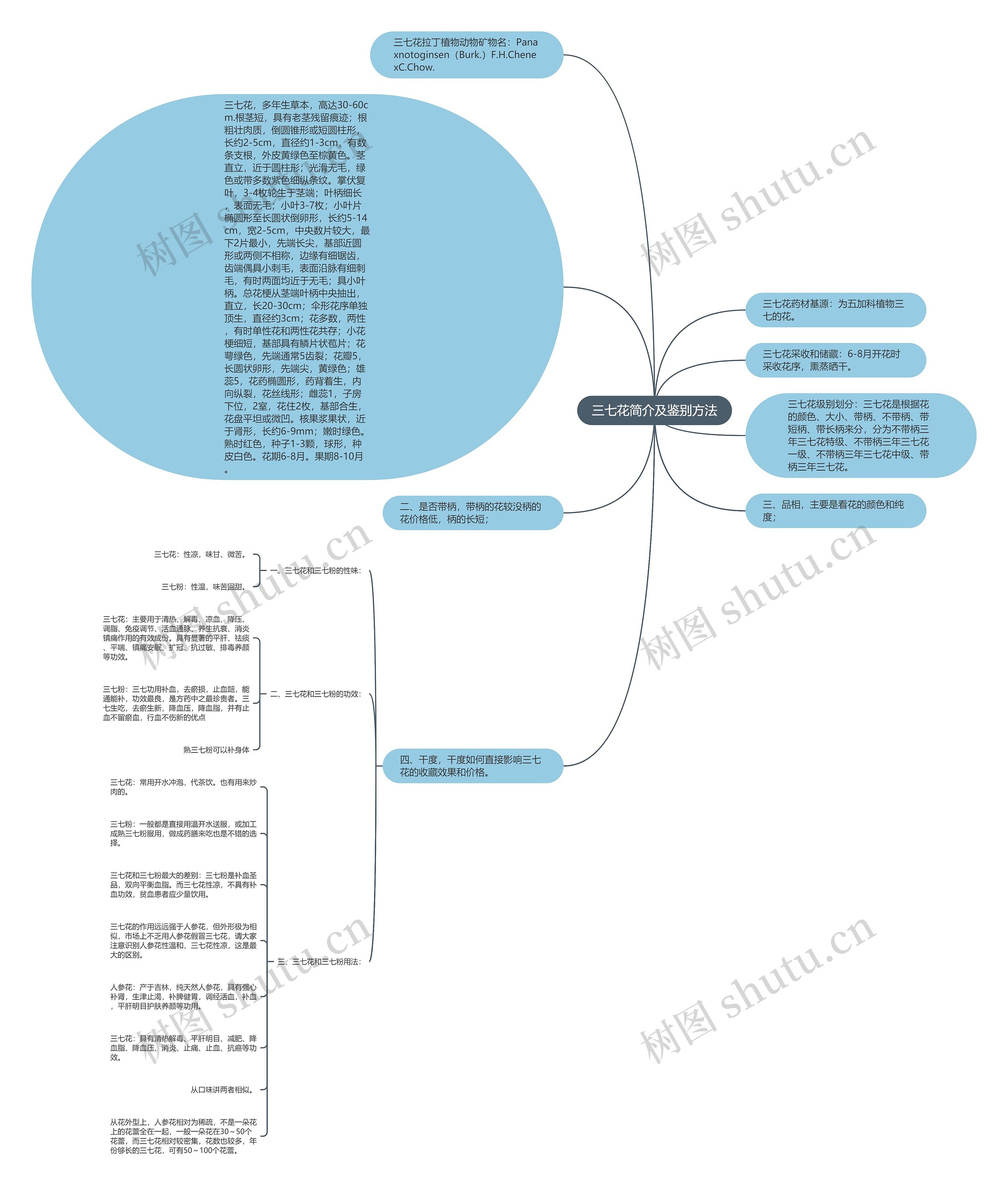 三七花简介及鉴别方法思维导图
