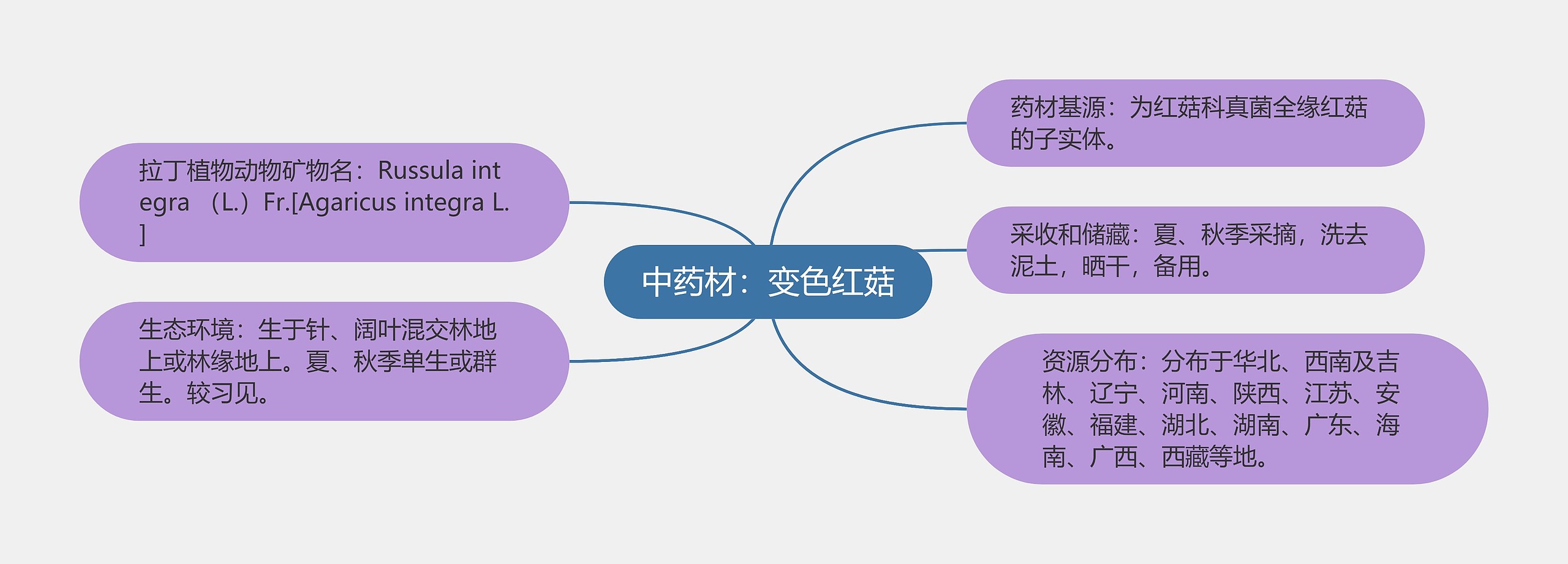 中药材：变色红菇思维导图