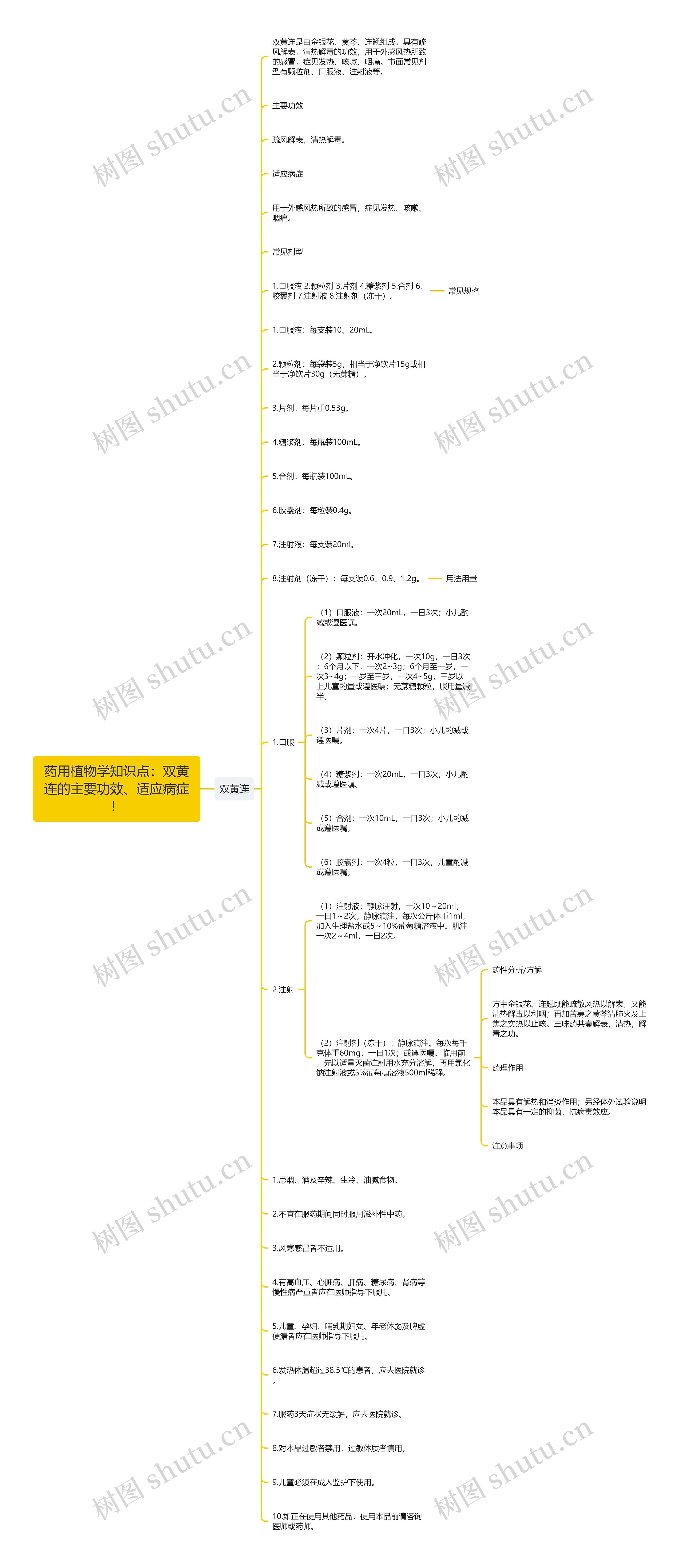 药用植物学知识点：双黄连的主要功效、适应病症！思维导图