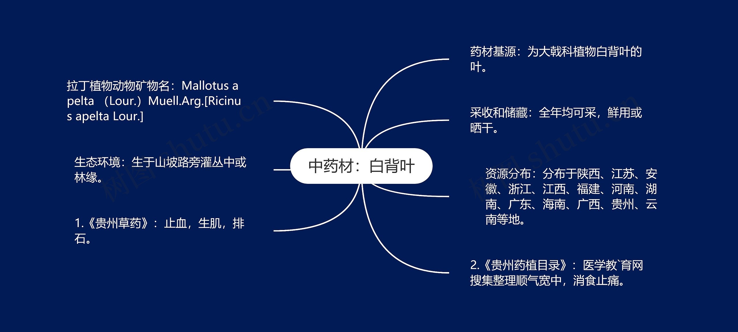 中药材：白背叶思维导图