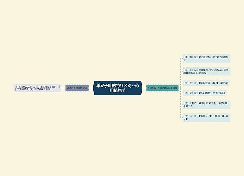 单双子叶的特征区别--药用植物学