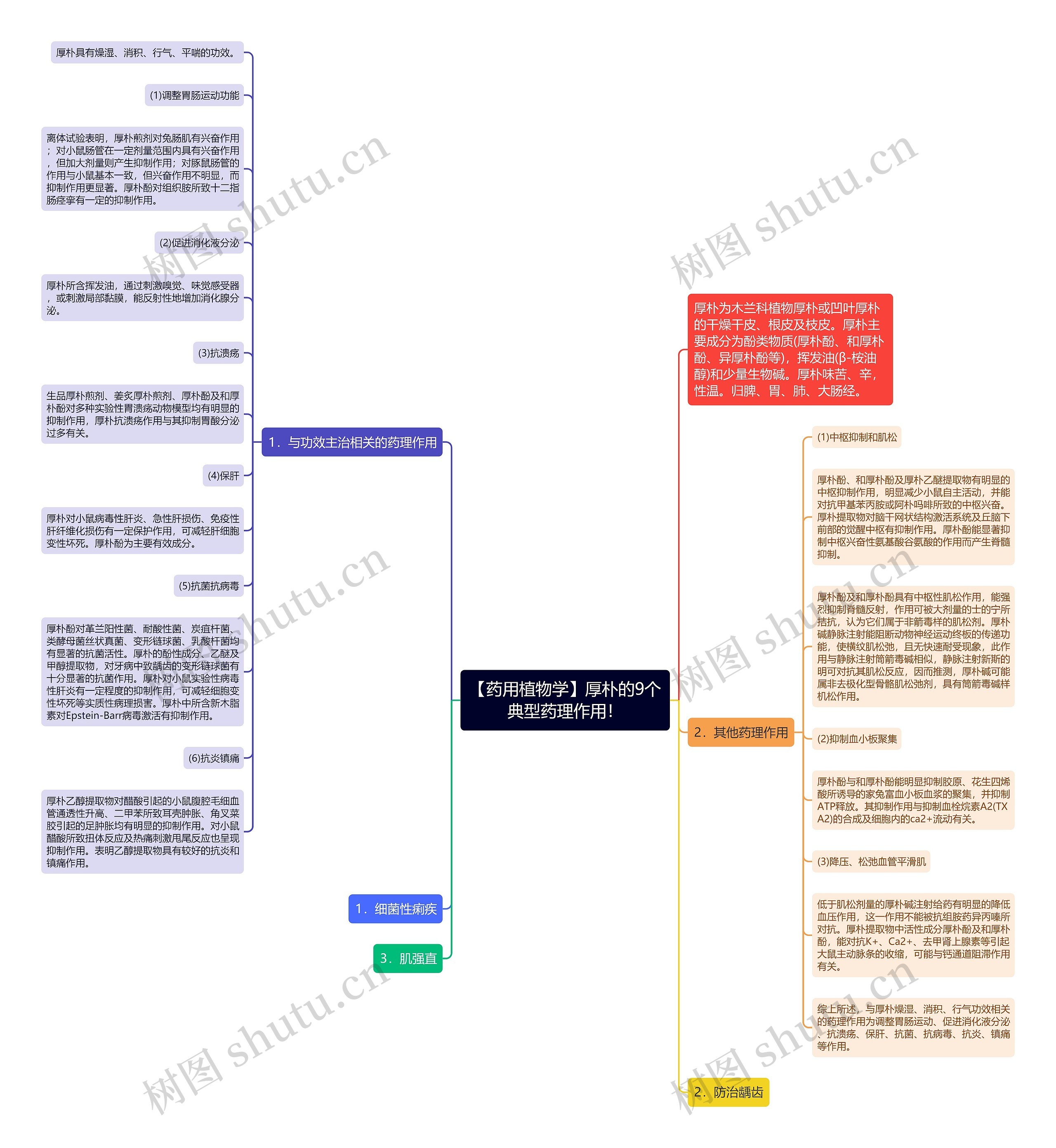 【药用植物学】厚朴的9个典型药理作用！思维导图