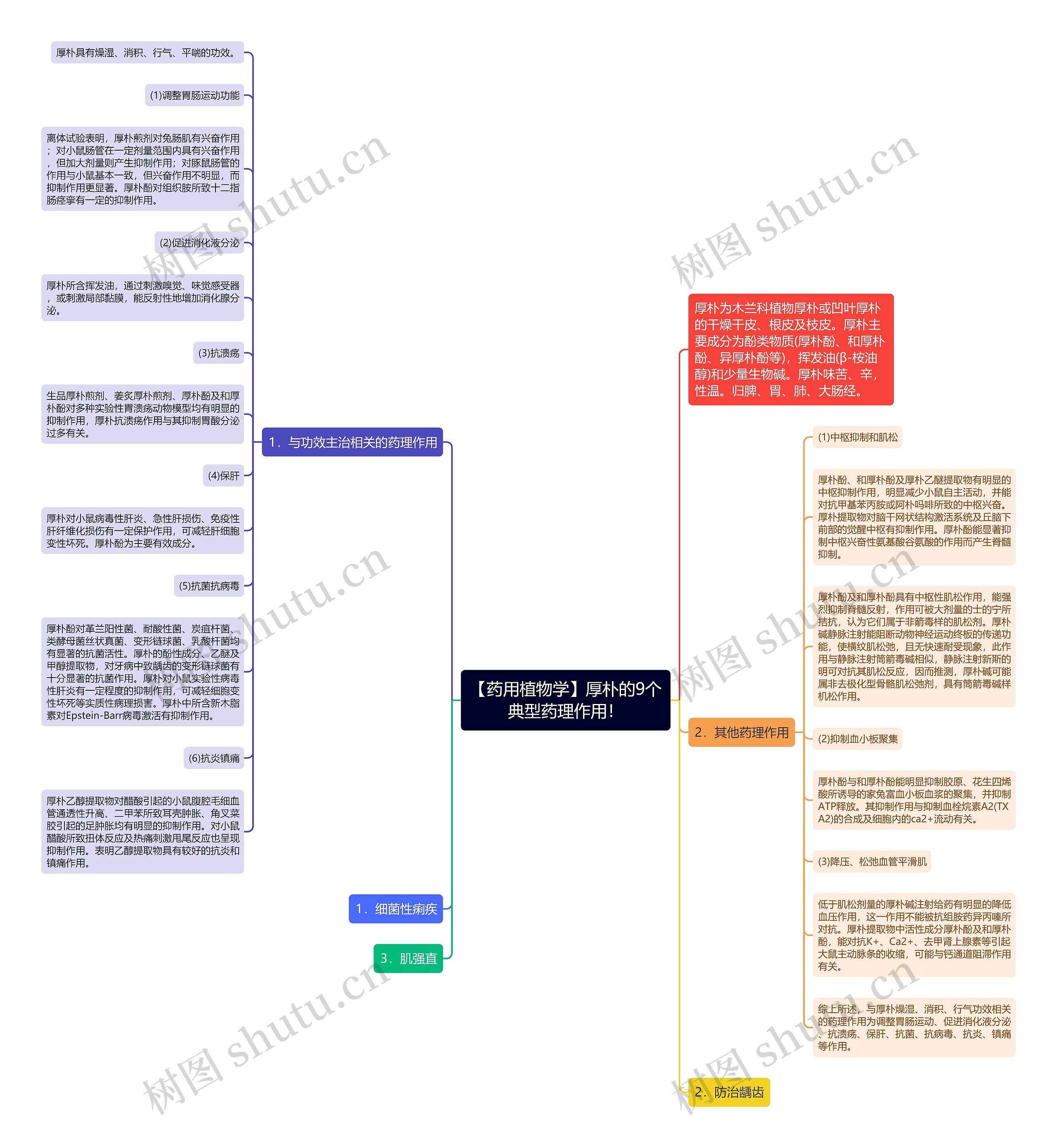 【药用植物学】厚朴的9个典型药理作用! 【药用植物学】厚朴的9个典型药理作用!